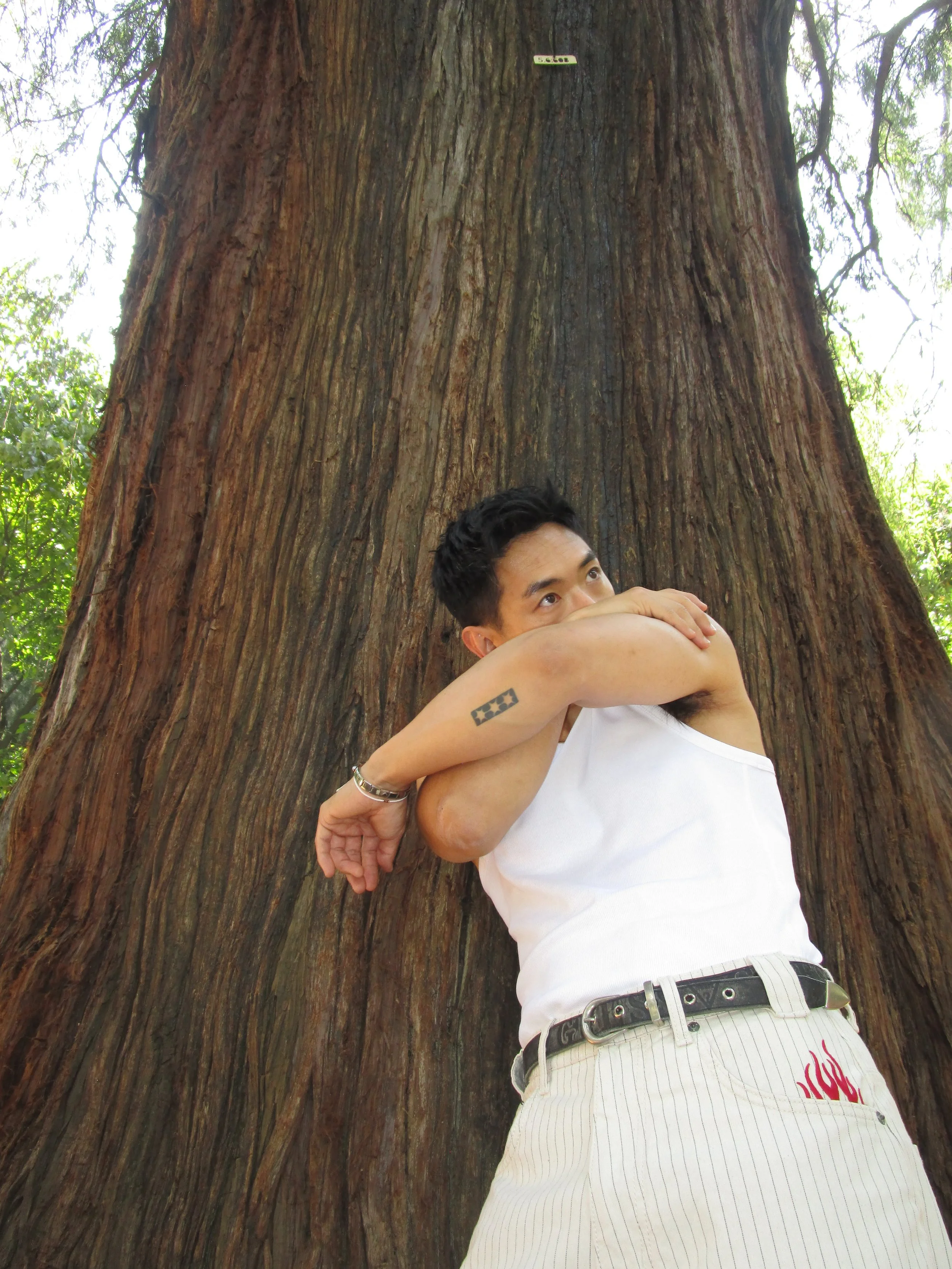 Sylo Is Trying To Get As Intimate As Possible