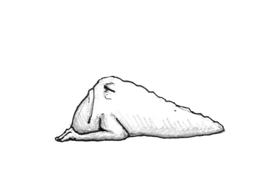 Leavitt monster fantasy drawing sketch book illustration