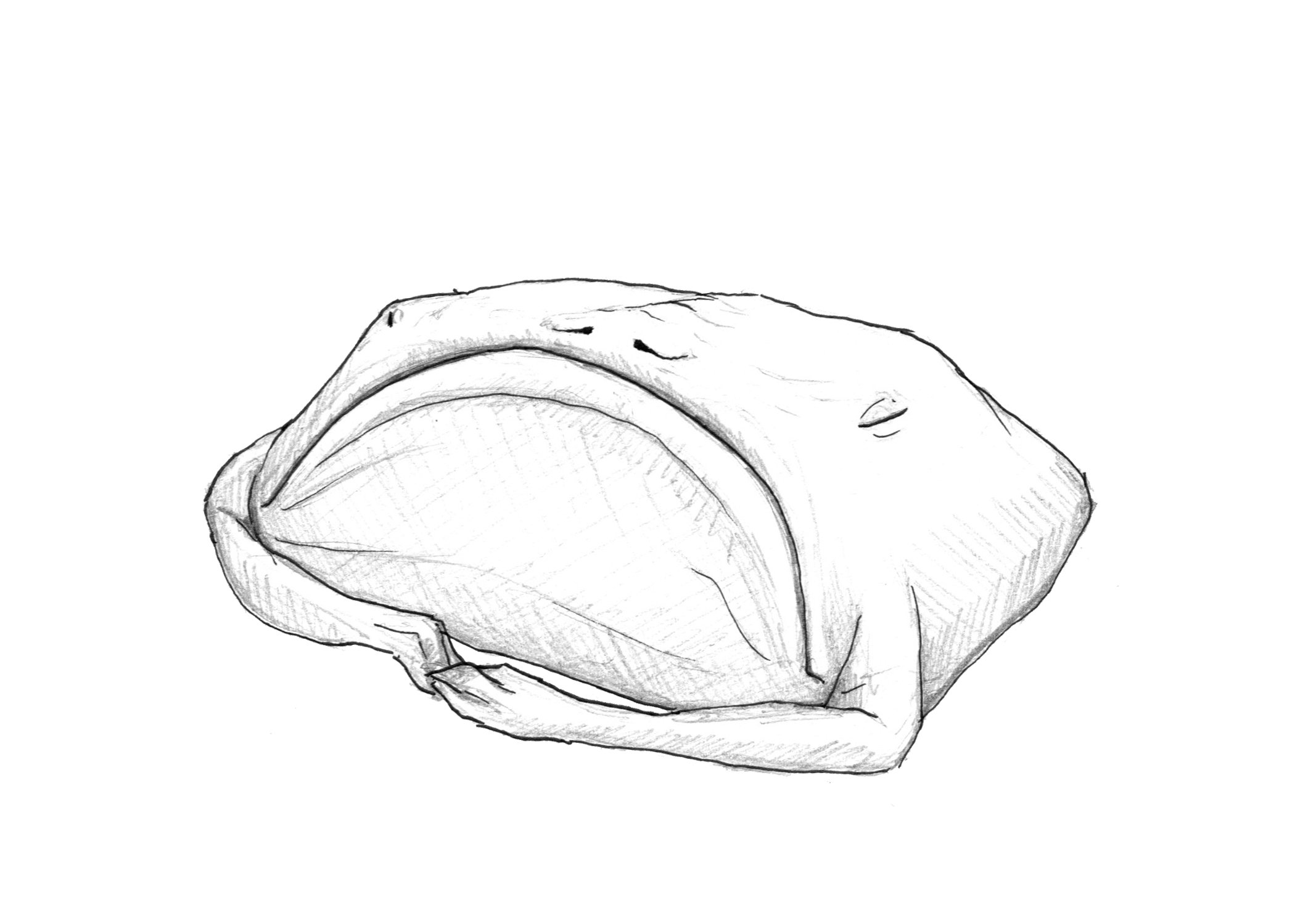 Leavitt monster fantasy drawing sketch illustrating book