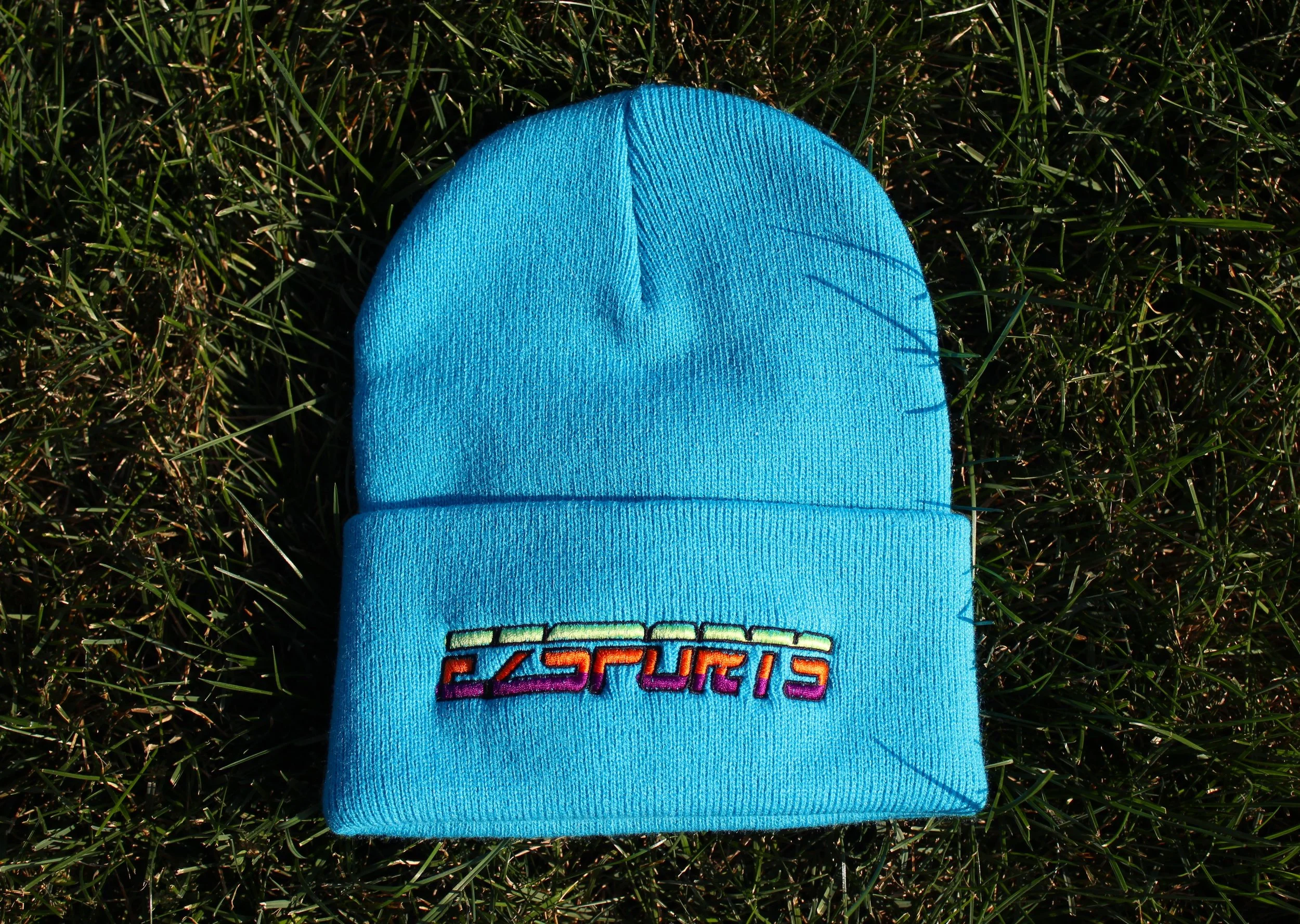 beanie_blue-grass.JPG