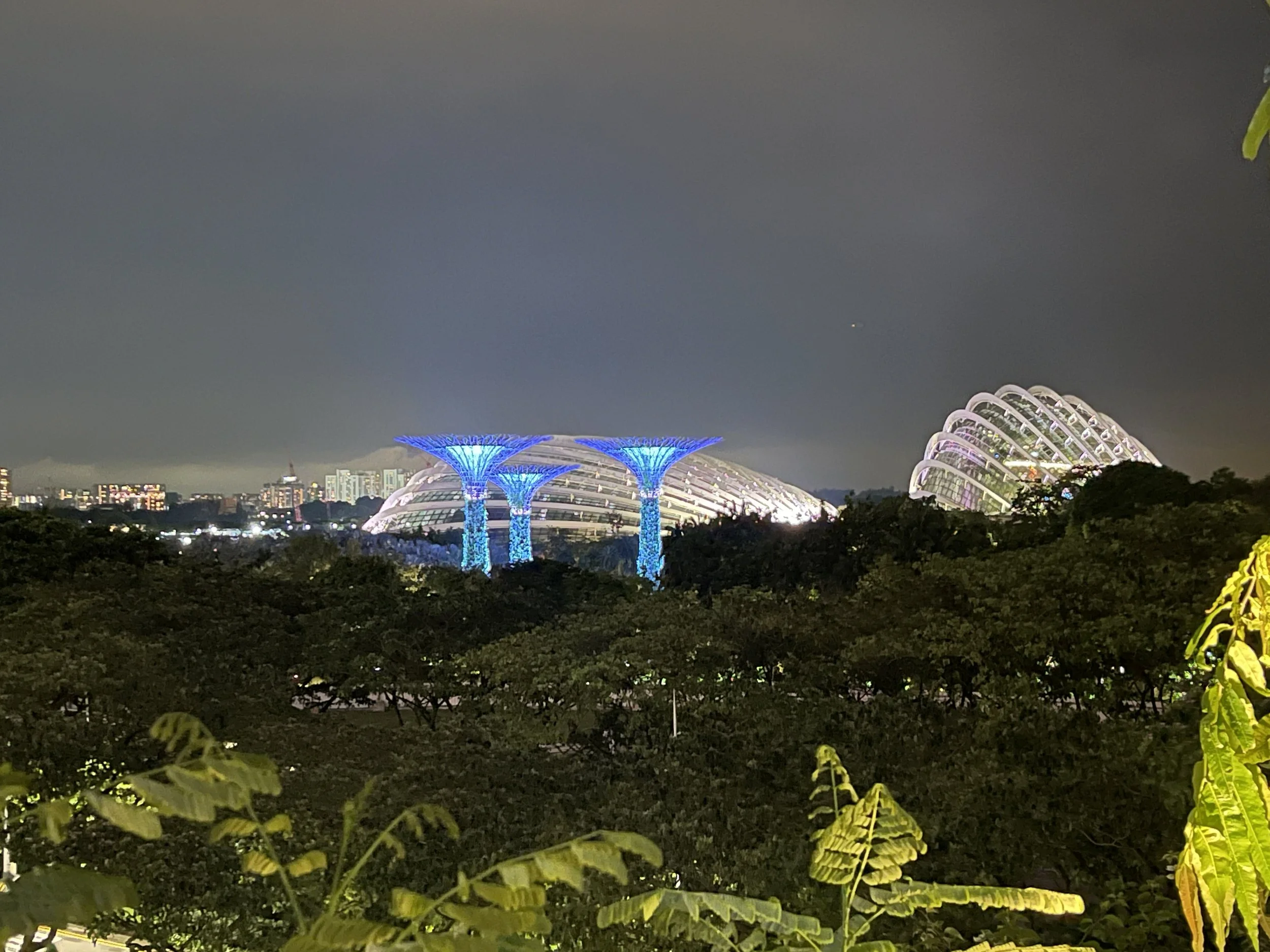 IMG_7541.JPG