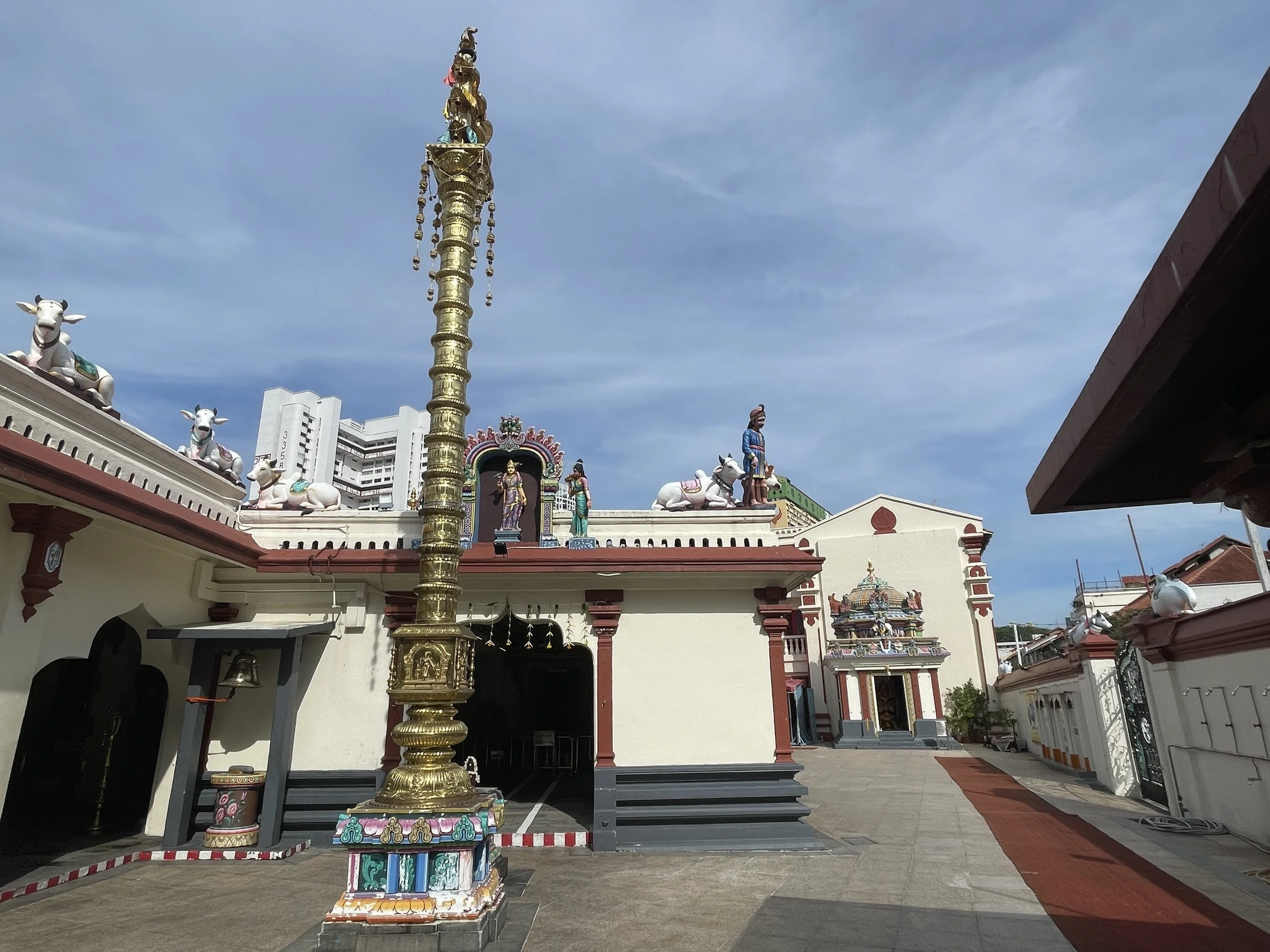 IMG_7569.JPG
