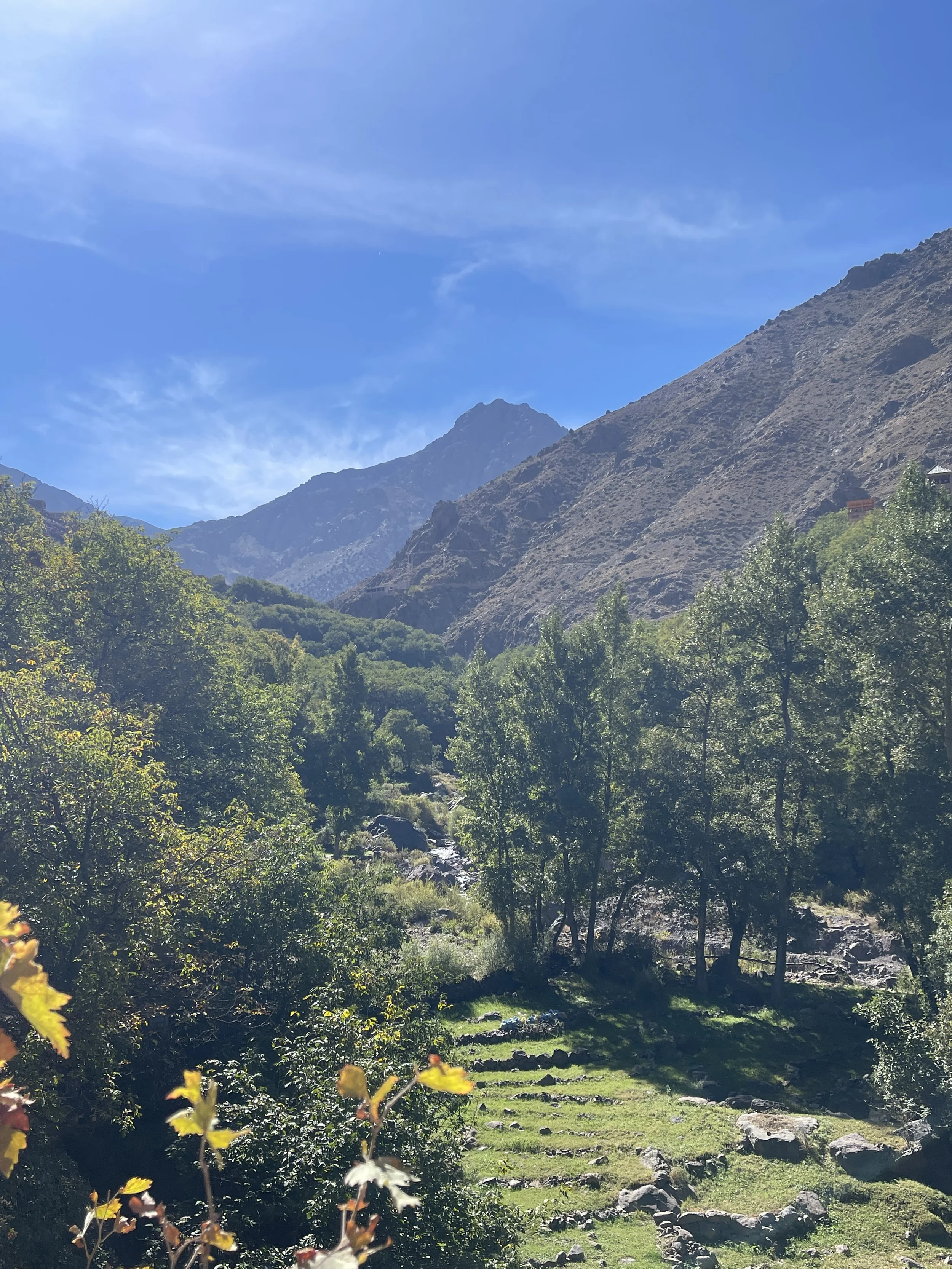 Marrakesh - (Fall 2025) - Day 4