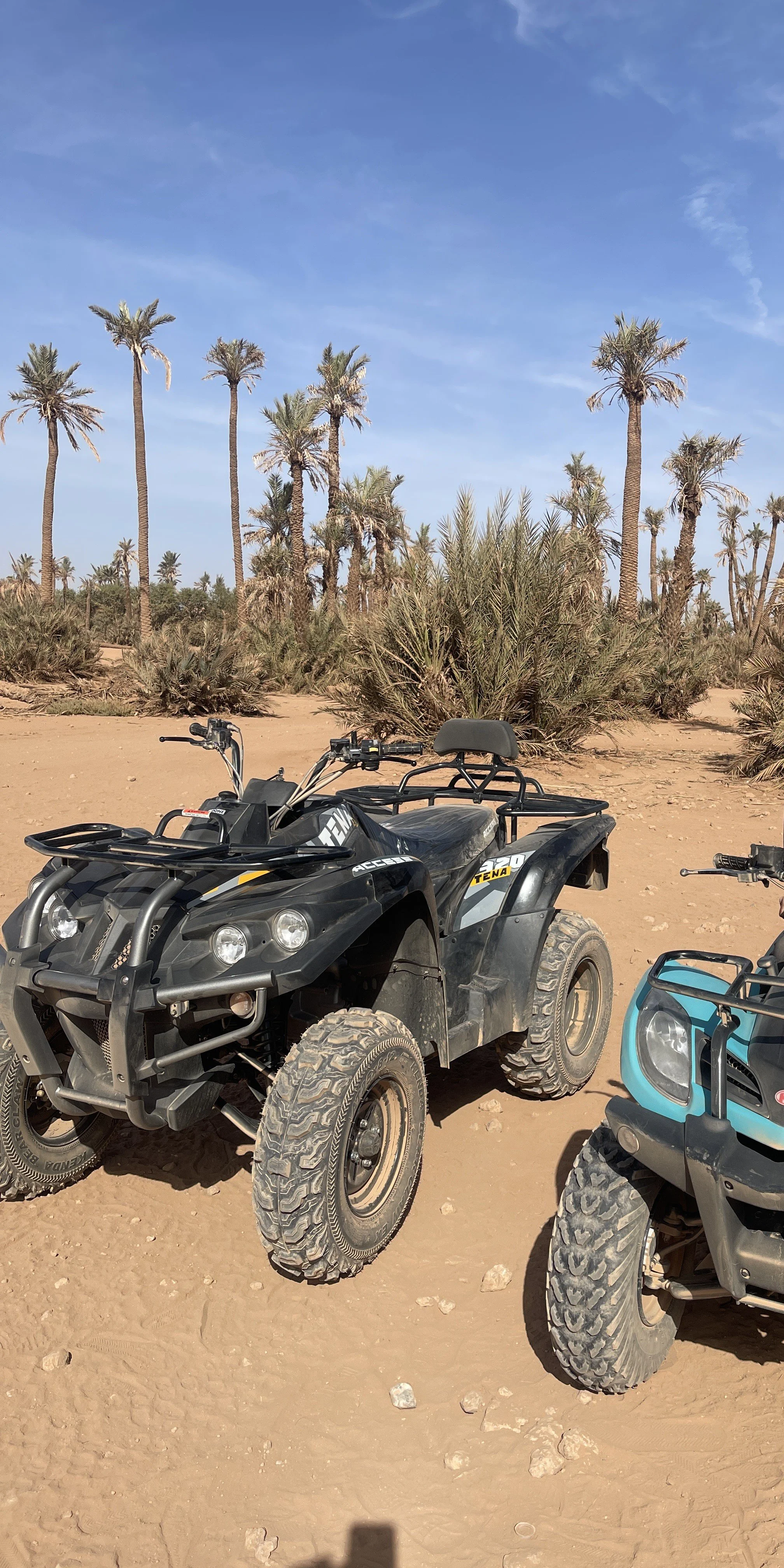 Marrakesh - (Fall 2025) - Day 6