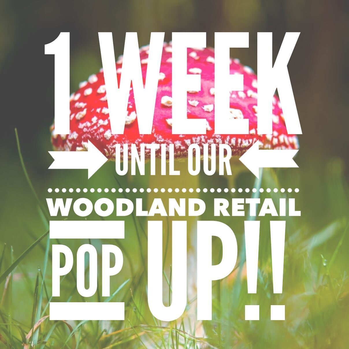 We can&rsquo;t wait until next week! Our big woodland theme retail pop up takes place on Friday September 2nd and Saturday September 3rd from 11-4!! Some new and unusual flavors, new desserts and more! 🍄 🌱 🌳 🦔 🦊 🍄