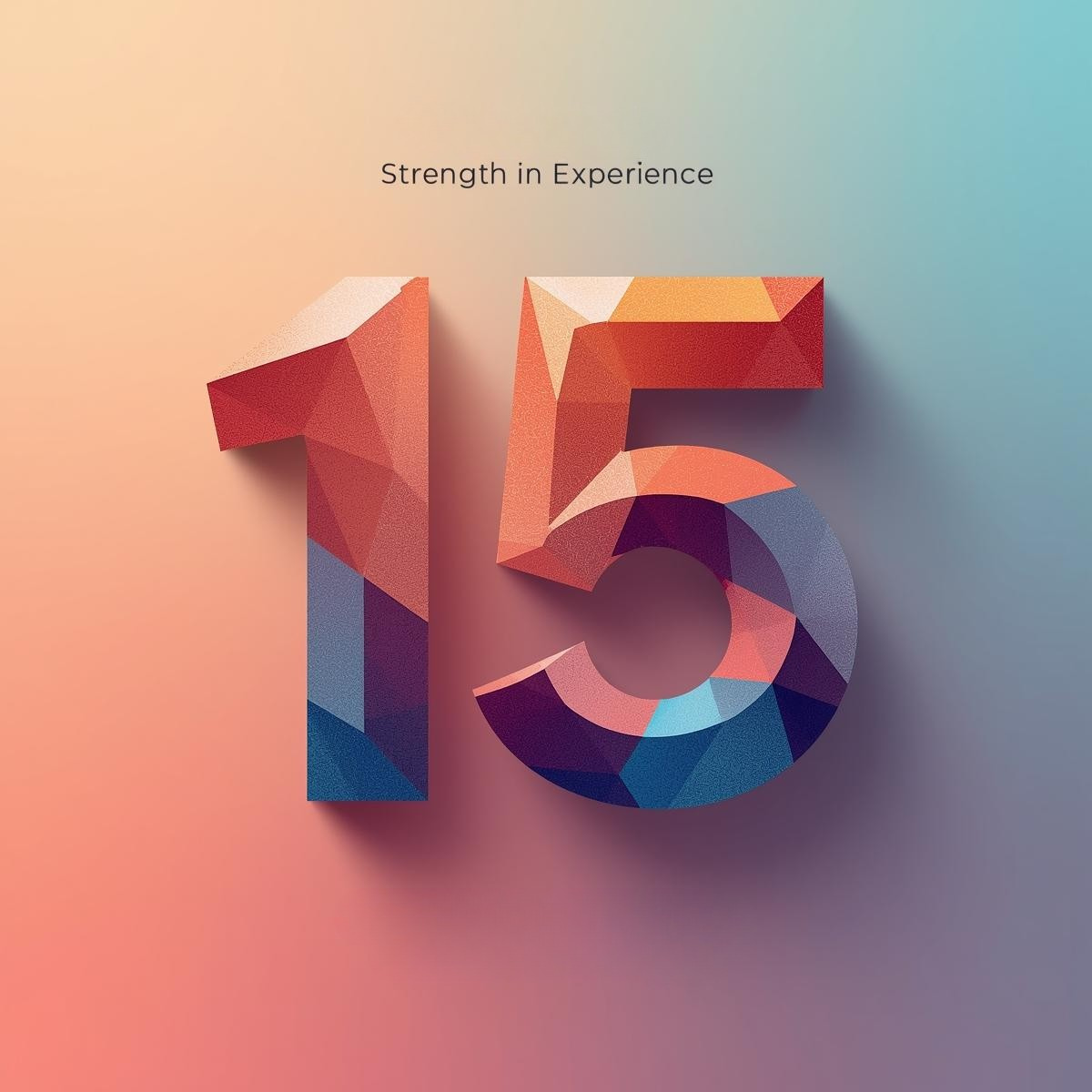 15 Anos de Experiência Profissional