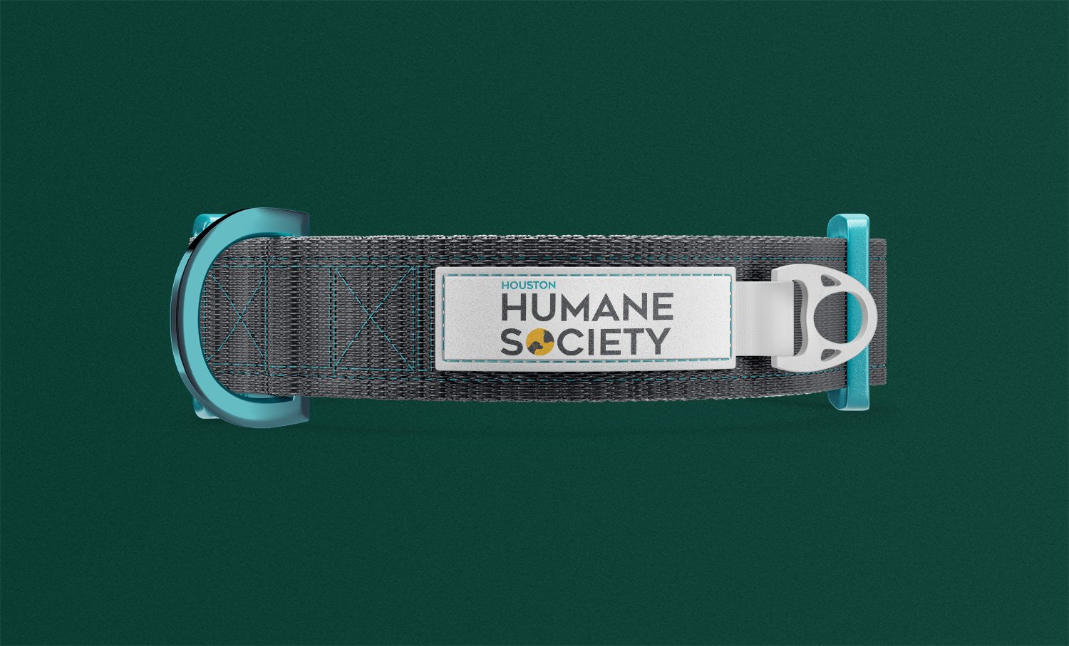 ForWEB_Project4_HoustonHumaneSociety_Collar.jpg