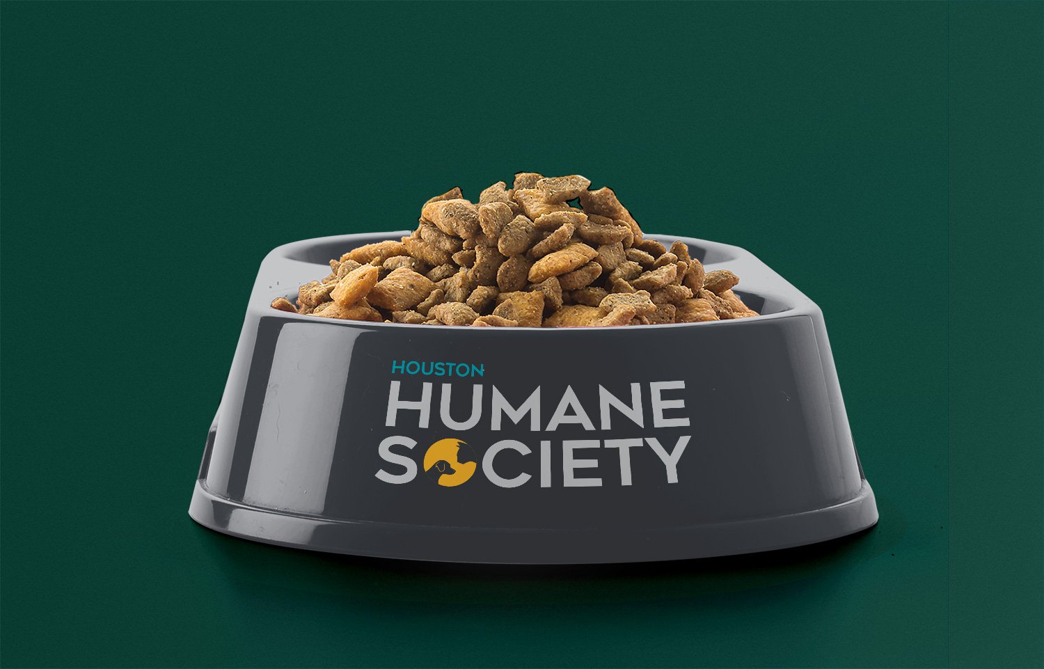 ForWEB_Project4_HoustonHumaneSociety_Bowl_REVISED.jpg