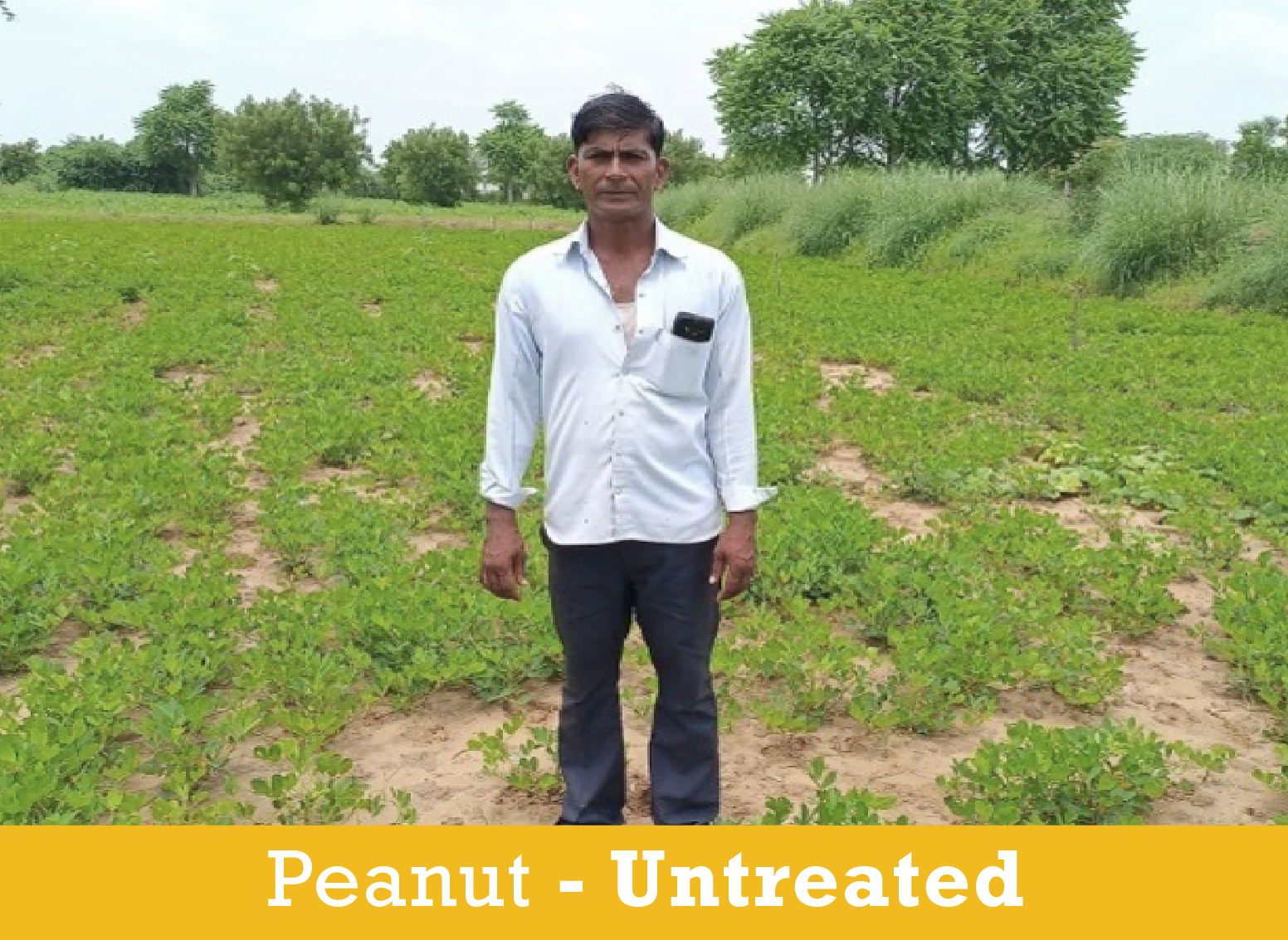 Peanut Farmer3_UNtreated.png