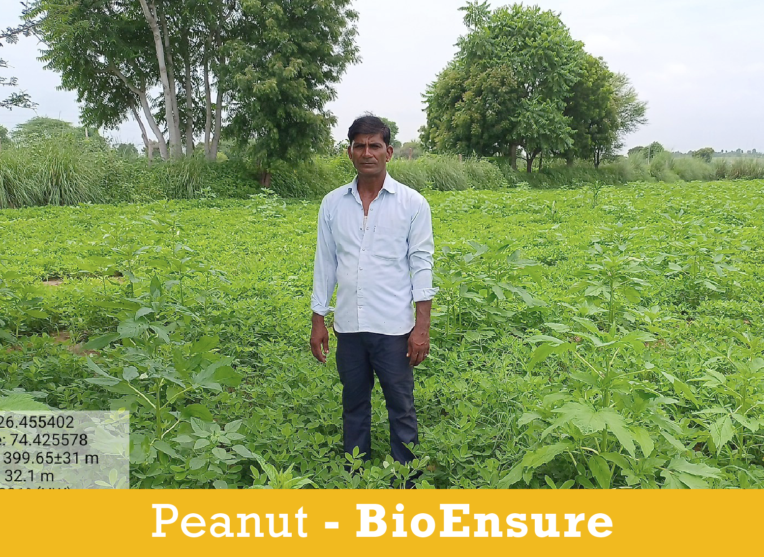 Peanut Farmer3_BioEnsure.png