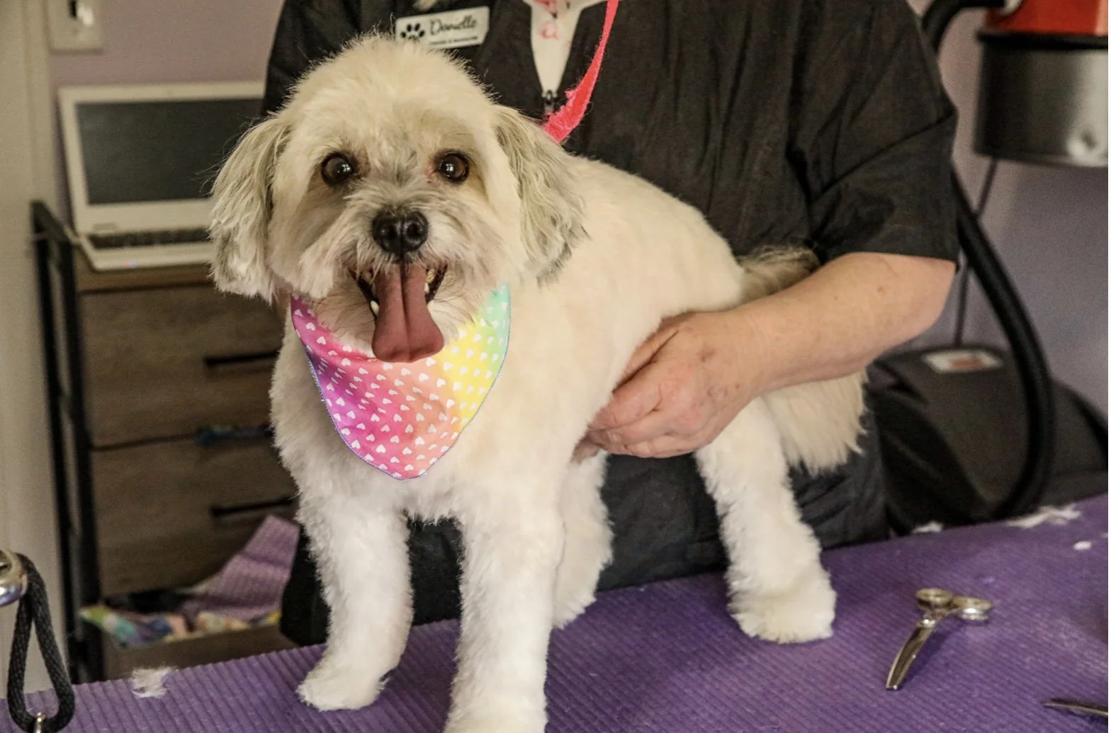 About — Bath and Biscuits