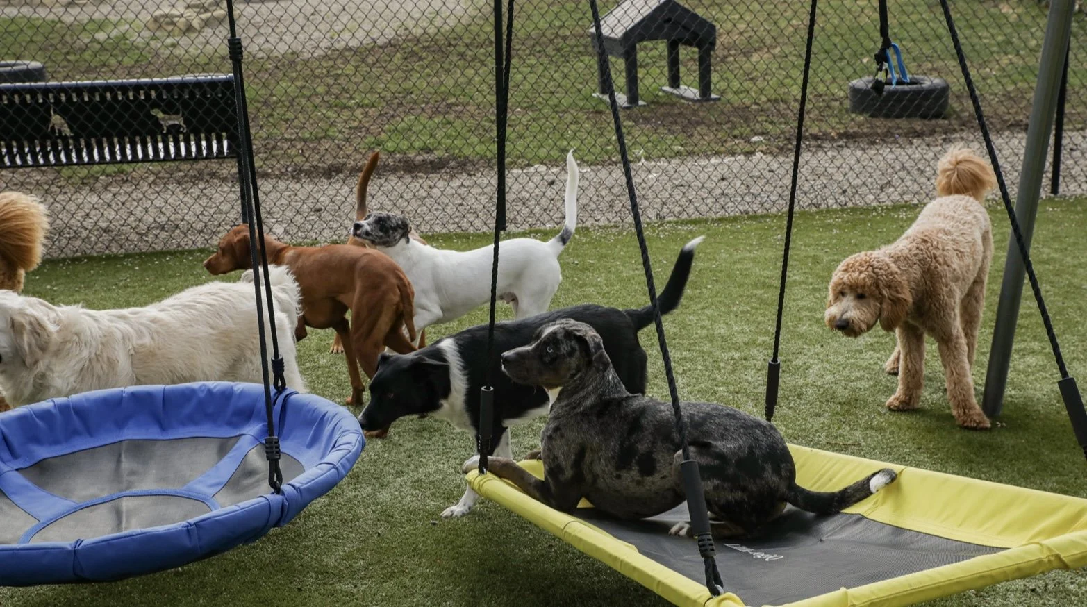 About — Bath and Biscuits