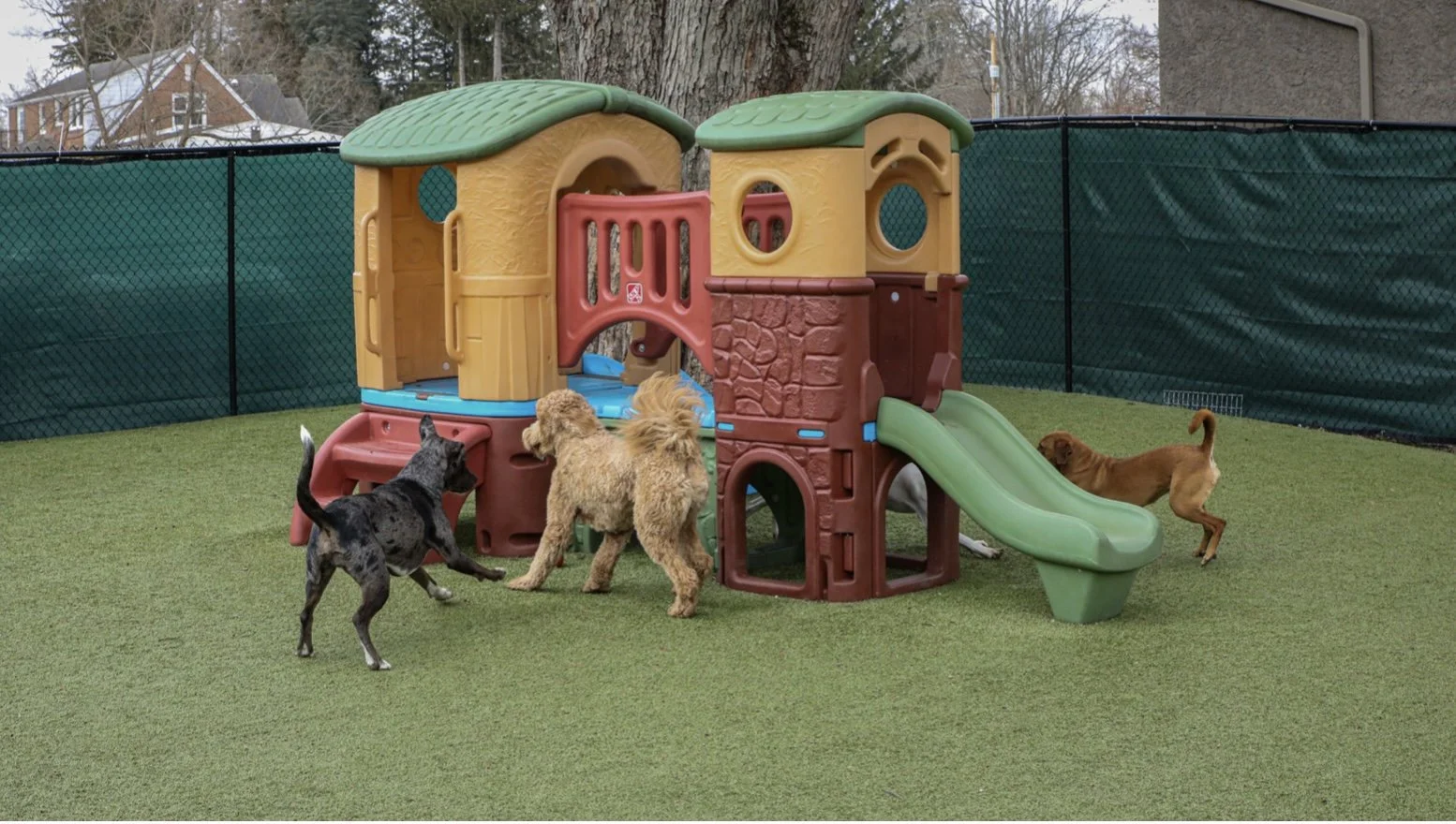 About — Bath and Biscuits