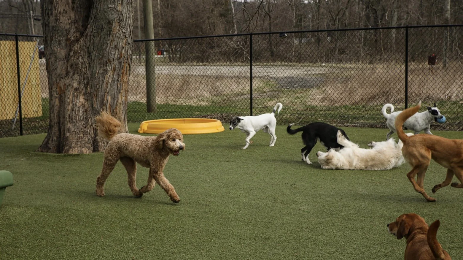 About — Bath and Biscuits