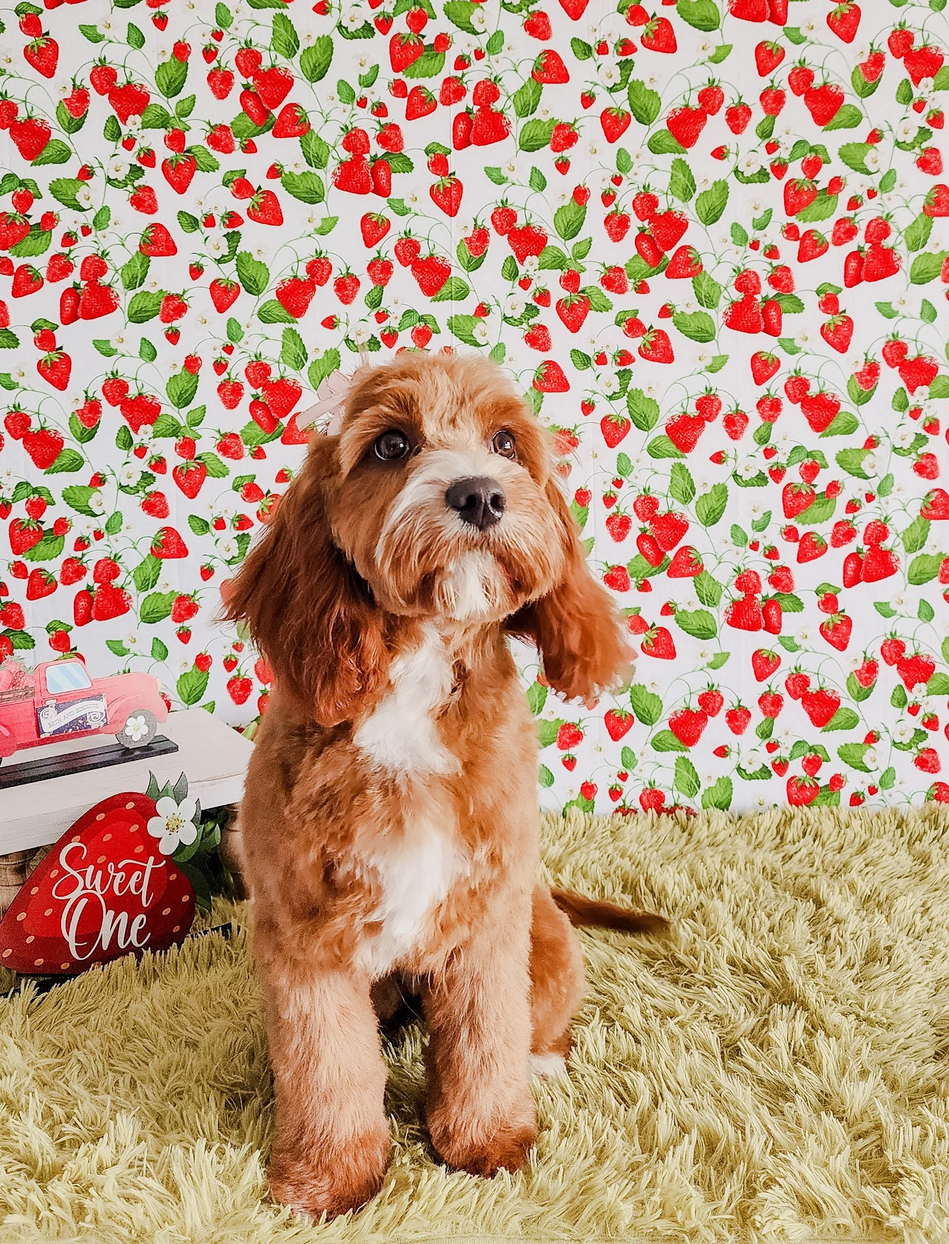 Common Grooming mistakes to Avoid