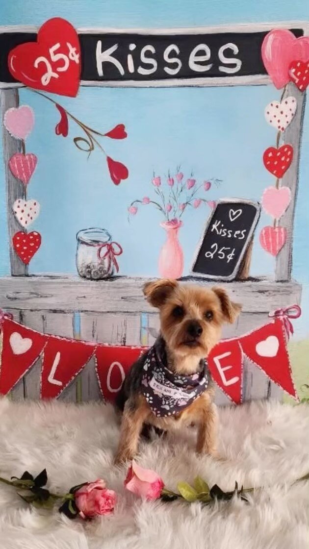 Contact — Bath and Biscuits