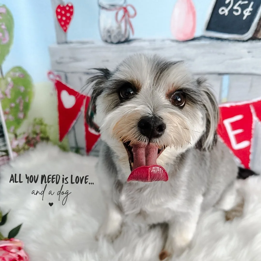 Contact — Bath and Biscuits