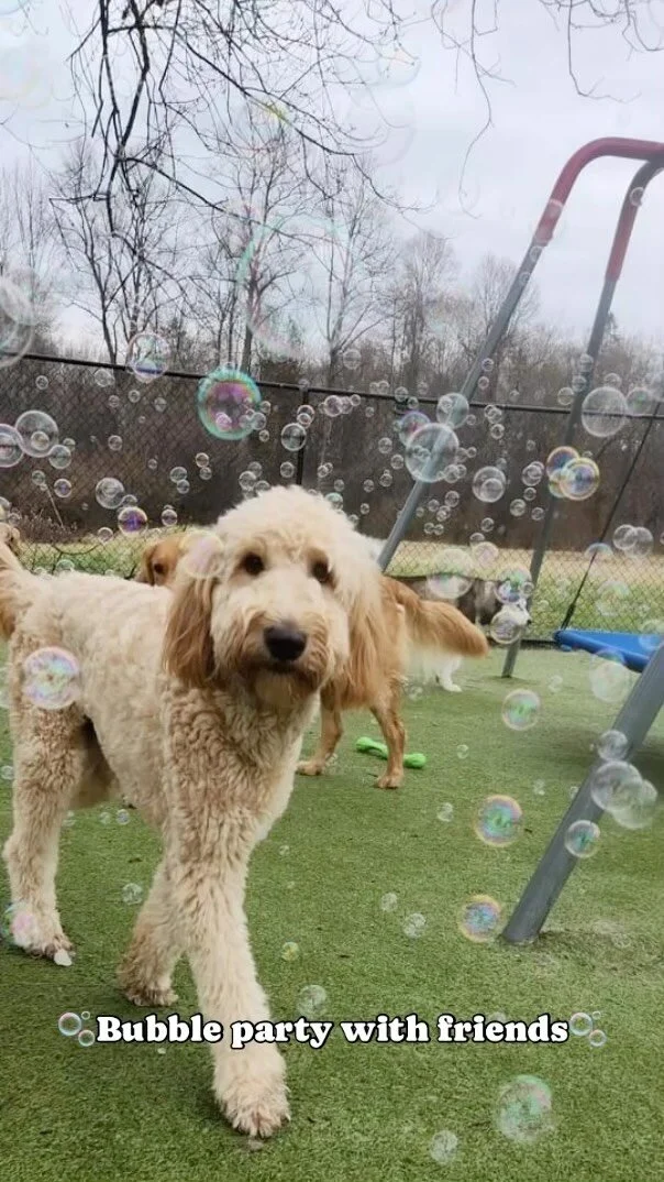 Contact — Bath and Biscuits