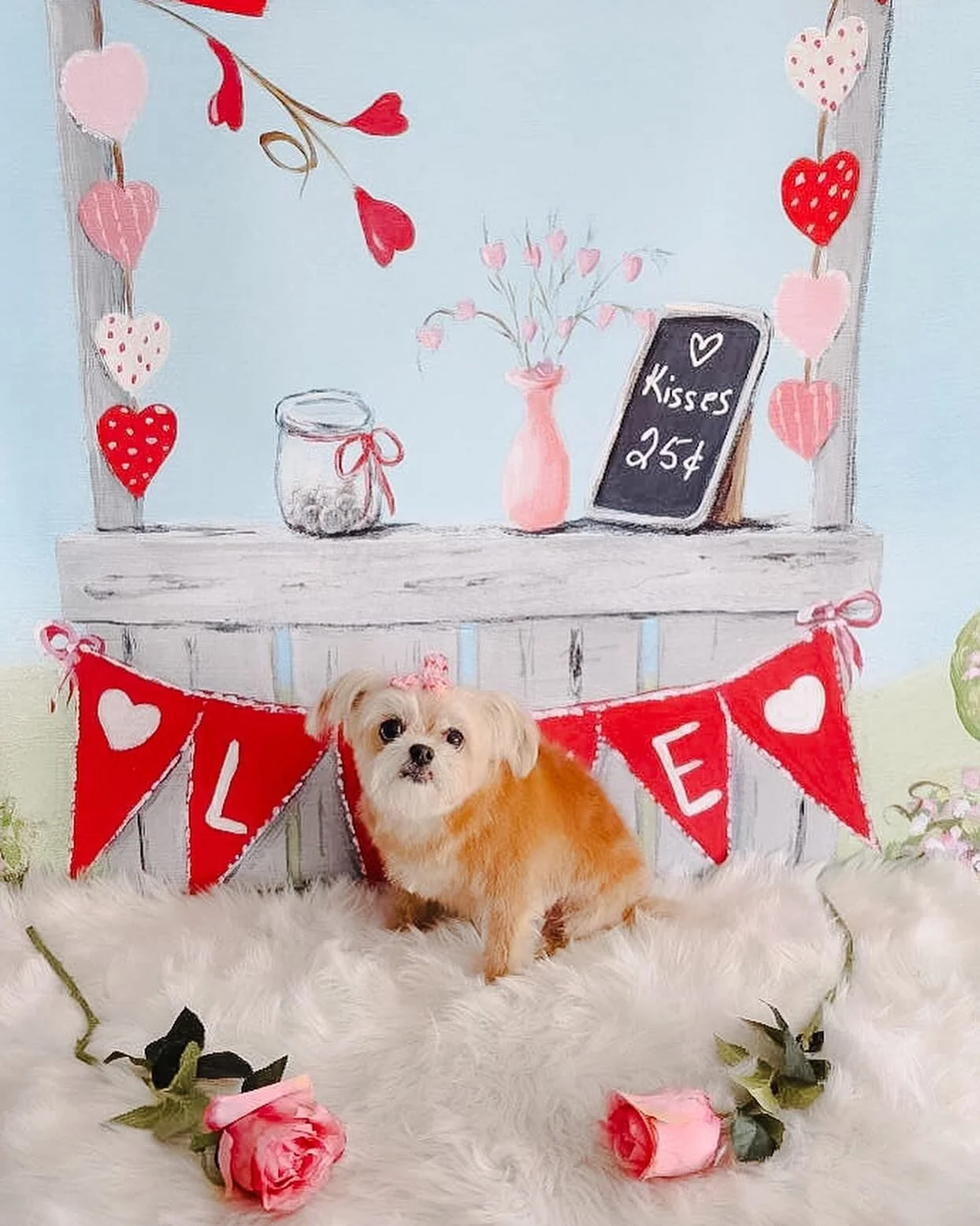 About — Bath and Biscuits