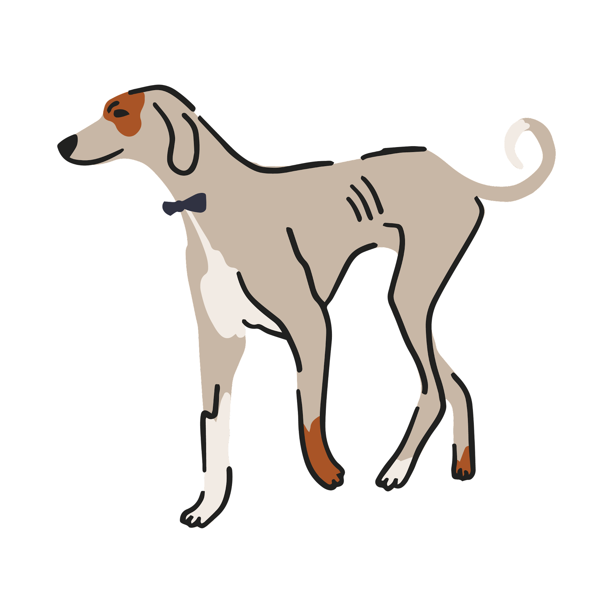 Services 3 — Bath and Biscuits