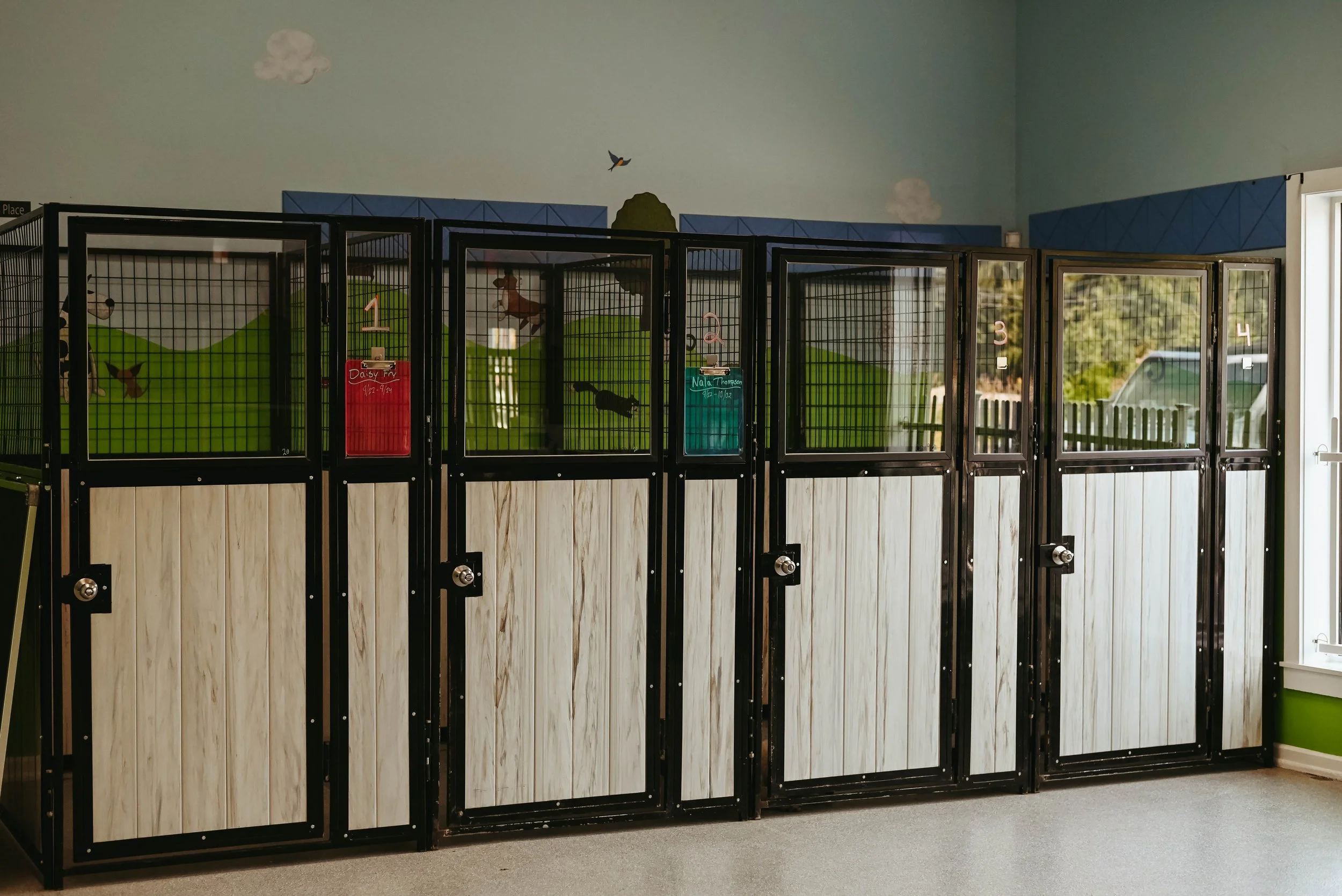 New Customer Free Daycare Form — Bath and Biscuits