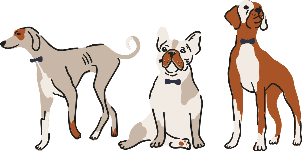 Contact — Bath and Biscuits