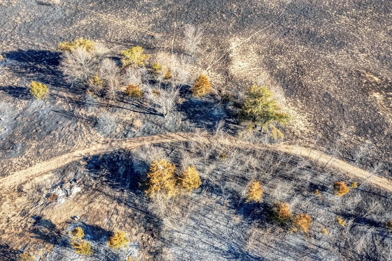 Wildfire Insurance in Redding, CA: What Buyers Need to Know Before Closing