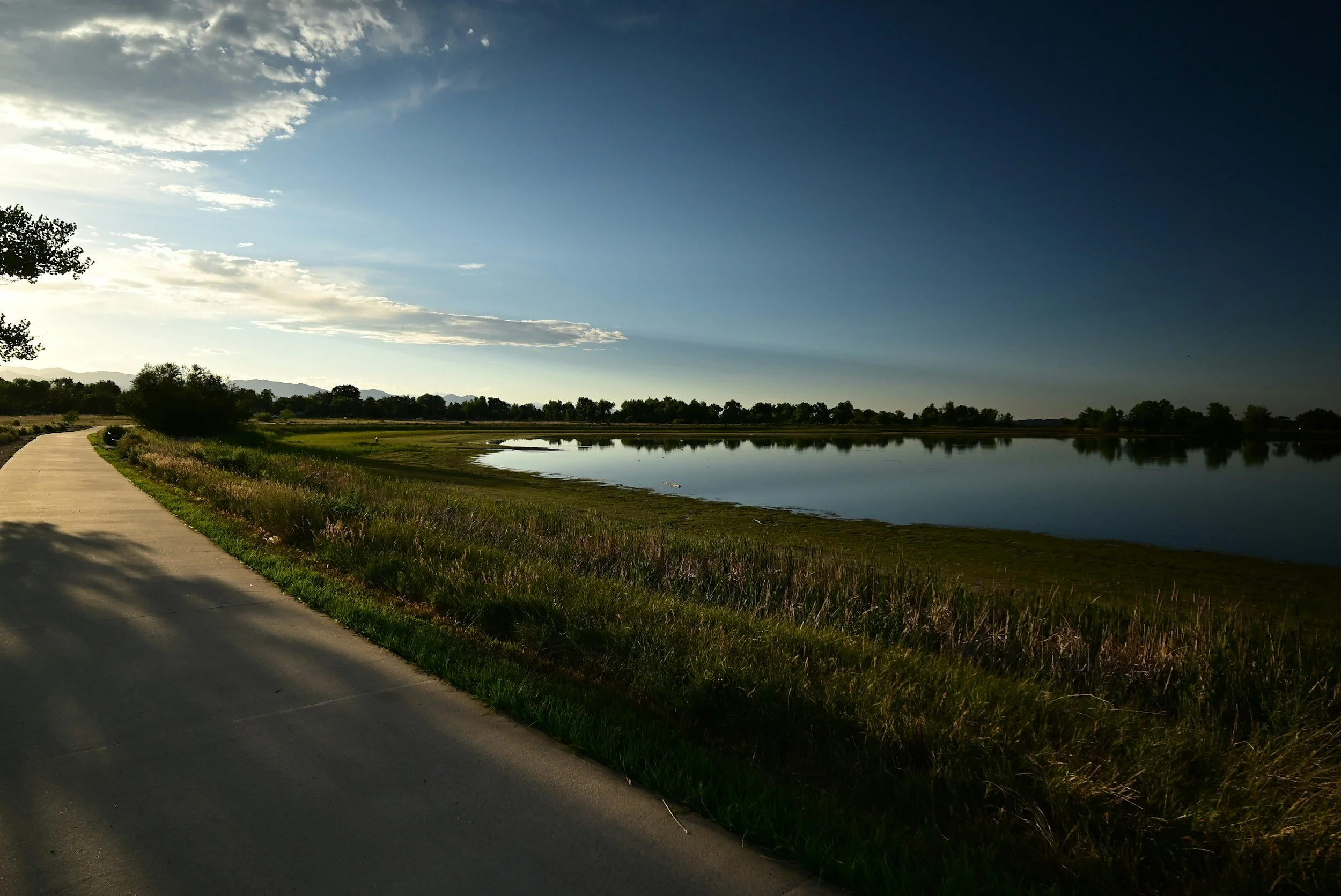A paved walking path running along the edge of a calm lake, with grass banks and trees on the far shore