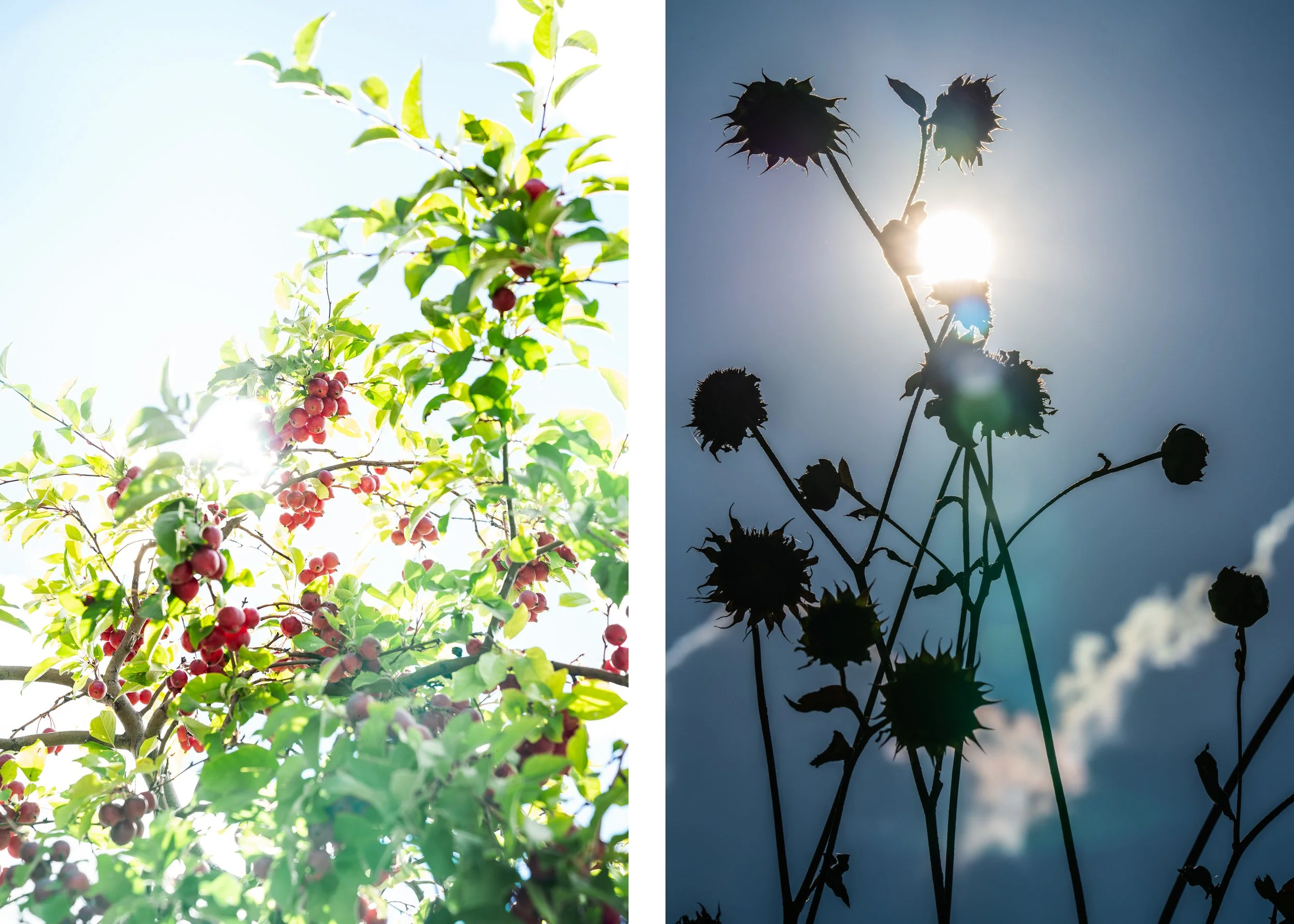 Wed Portfolio FA-6.jpg