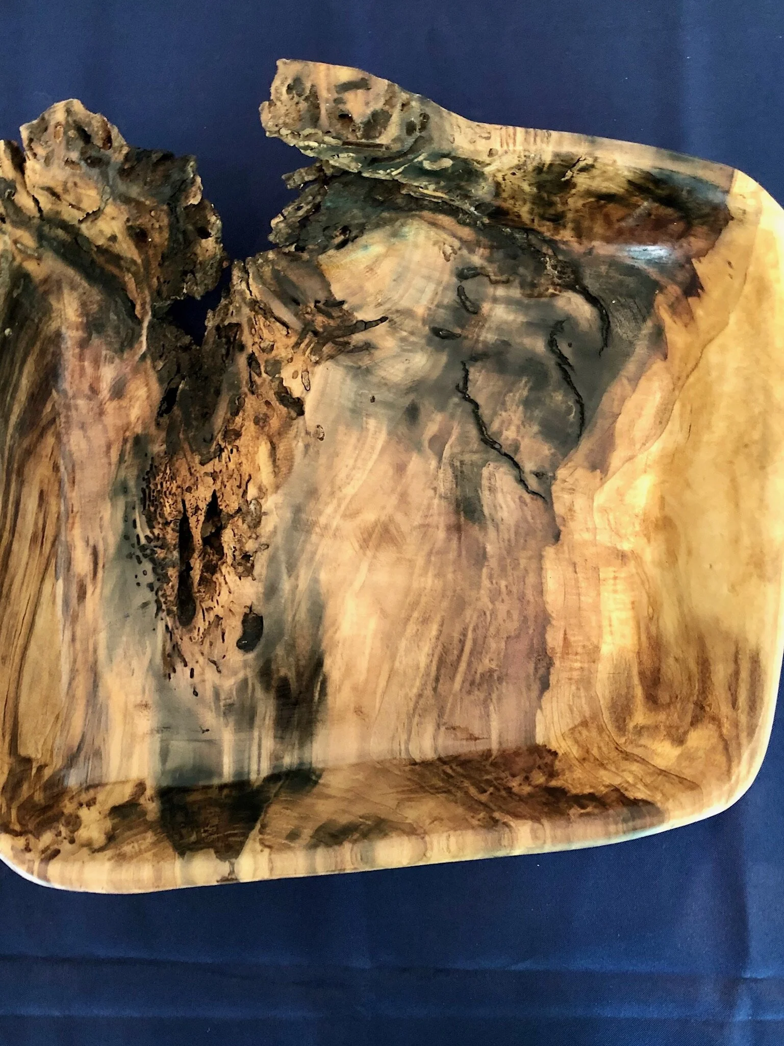 Lightning Struck Poplar