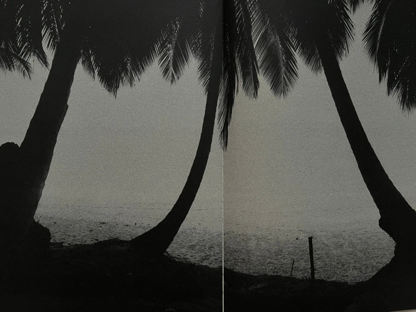 pages from &quot;translucent&quot;, our first publication. out soon.