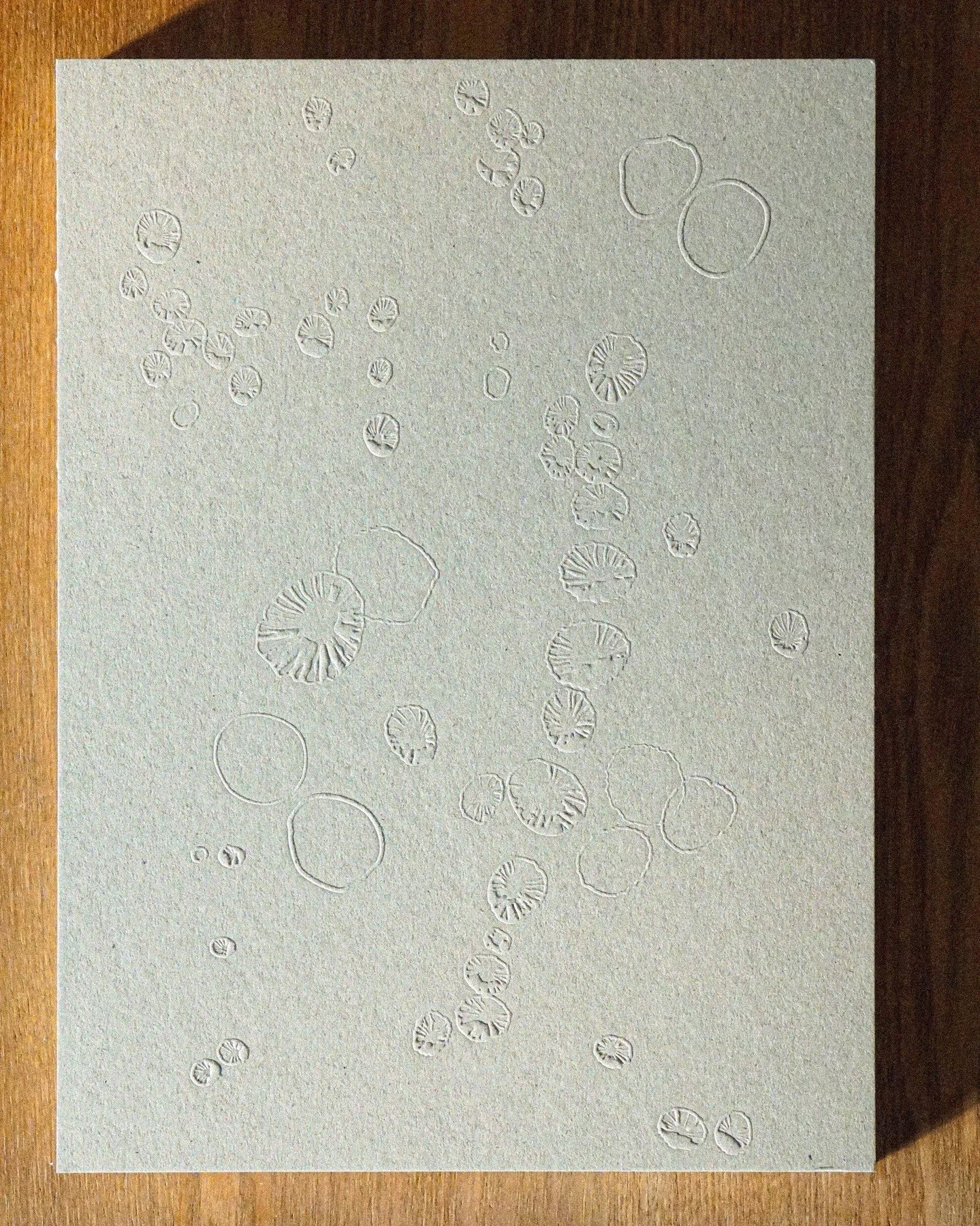 TRANSLUCENT out now

available at costainstitute.com

limited edition of 500 copies

photographs and text by Leo Costa
published by Costa Institute