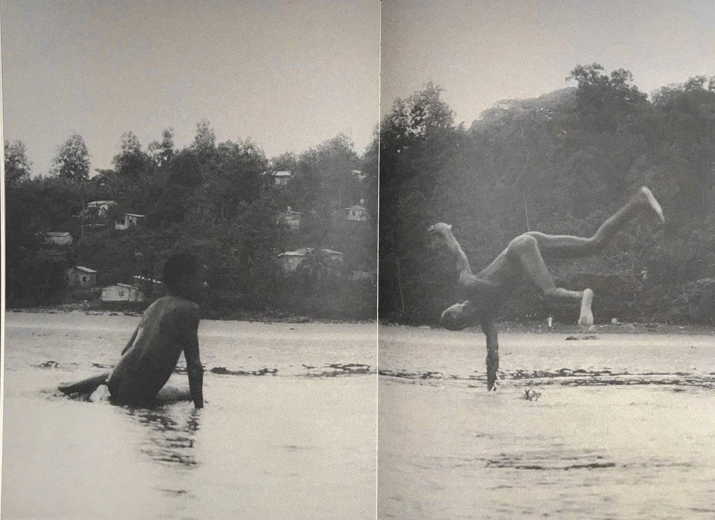 pages from TRANSLUCENT, out now