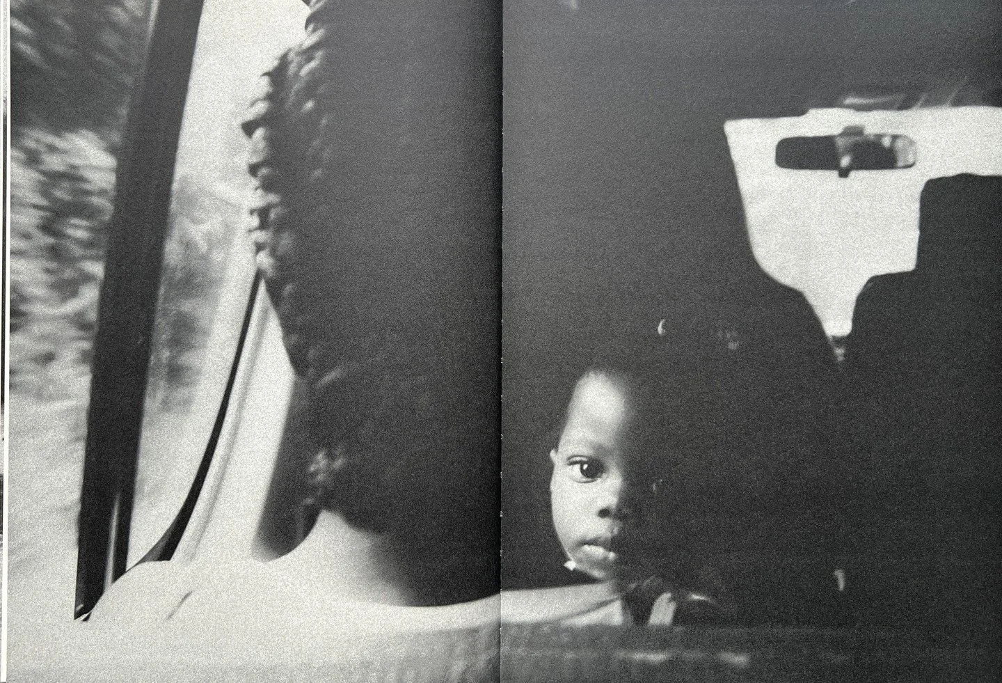 'translucent' excerpt