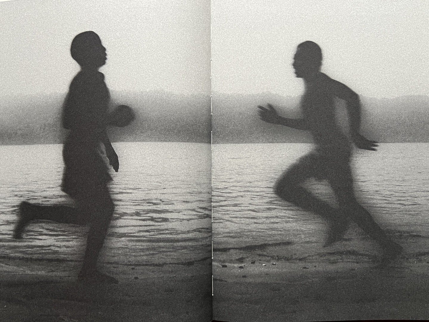 'translucent' excerpt