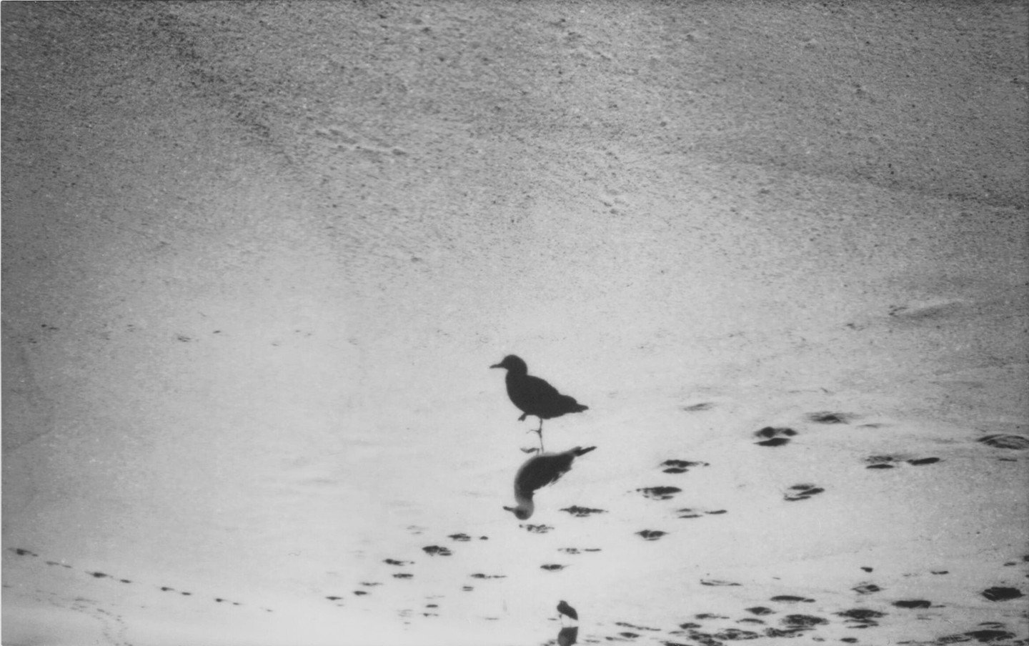 new publications taking shape at the institute.