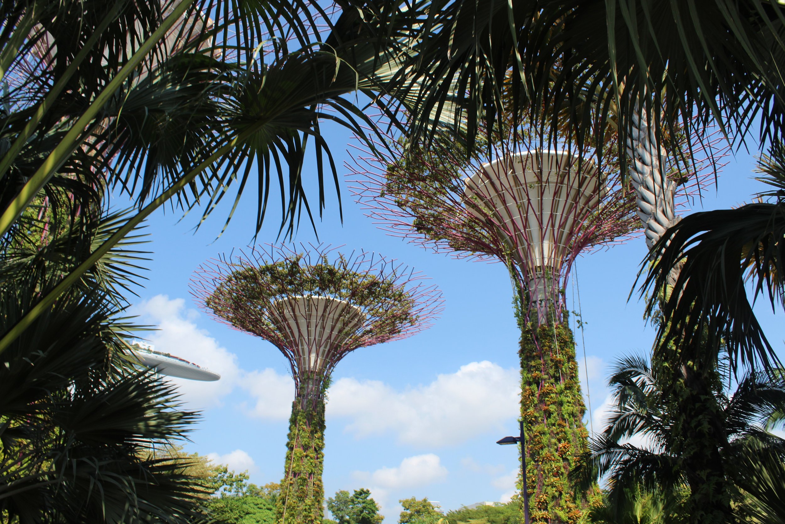 Singapore: Things to Know Before Visiting