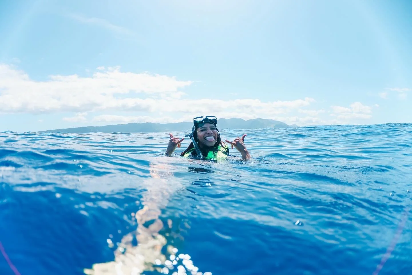 Dolphin and Turtle Snorkeling in Hawai'i: Everything You Need to Know