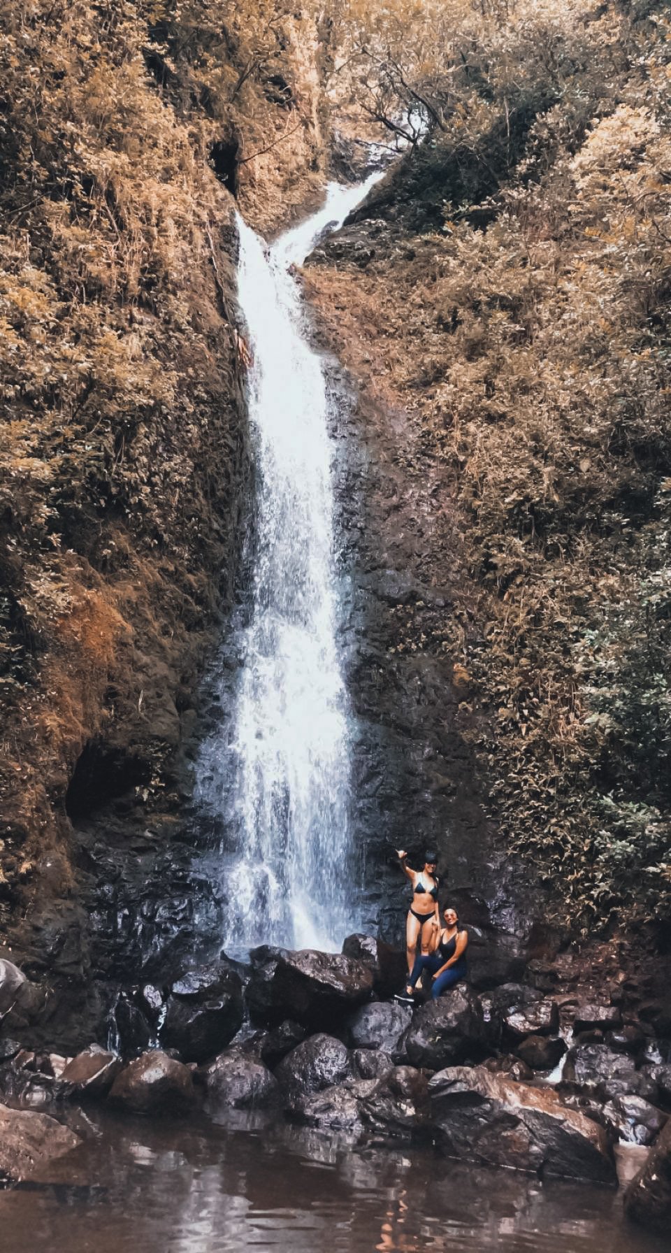 0804516F-6498-42DC-8679-425AFF3F3313.jpeg