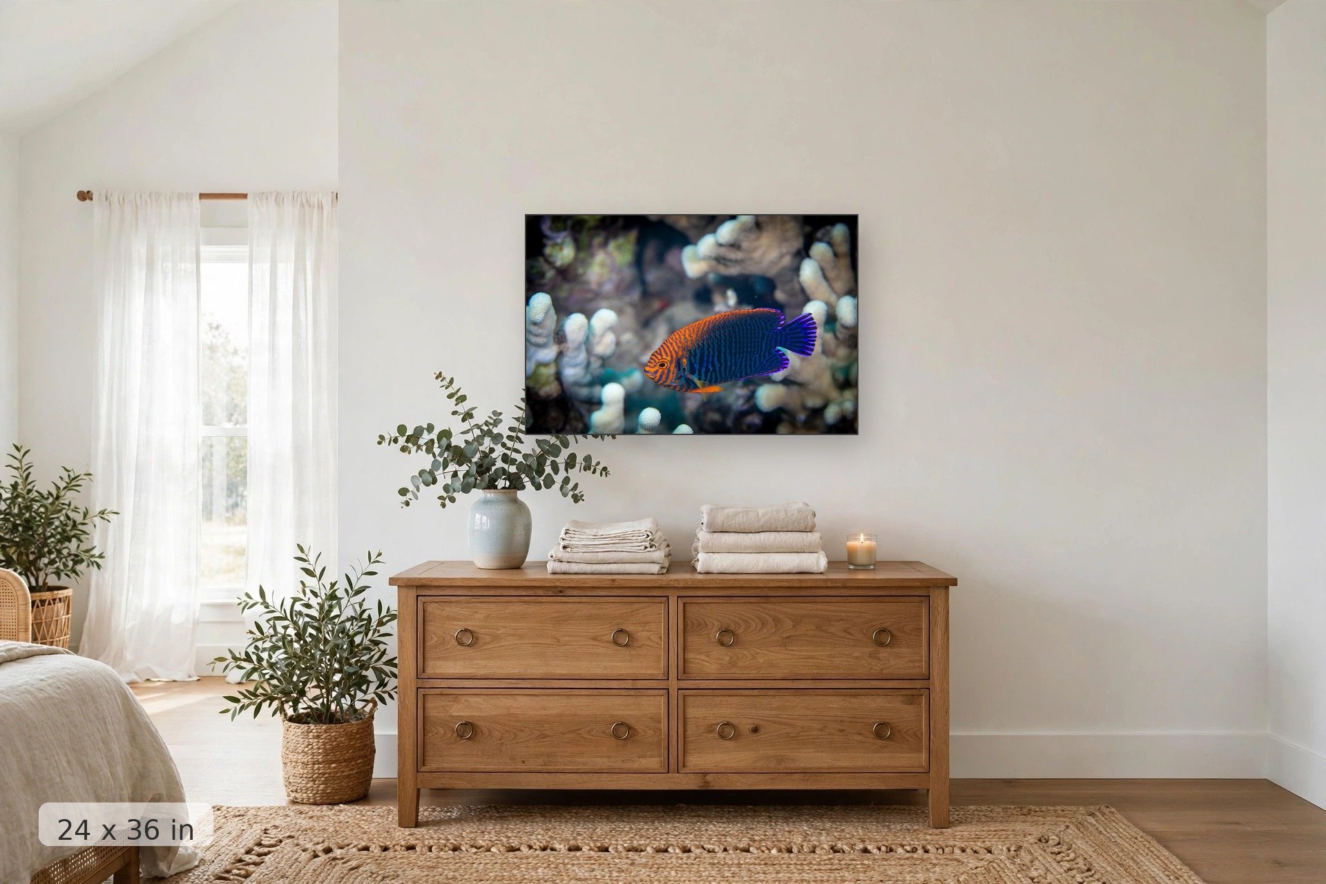 Potter's angelfish on a Maui reef — Potter Angelfish print, 24x36 mockup above a dresser