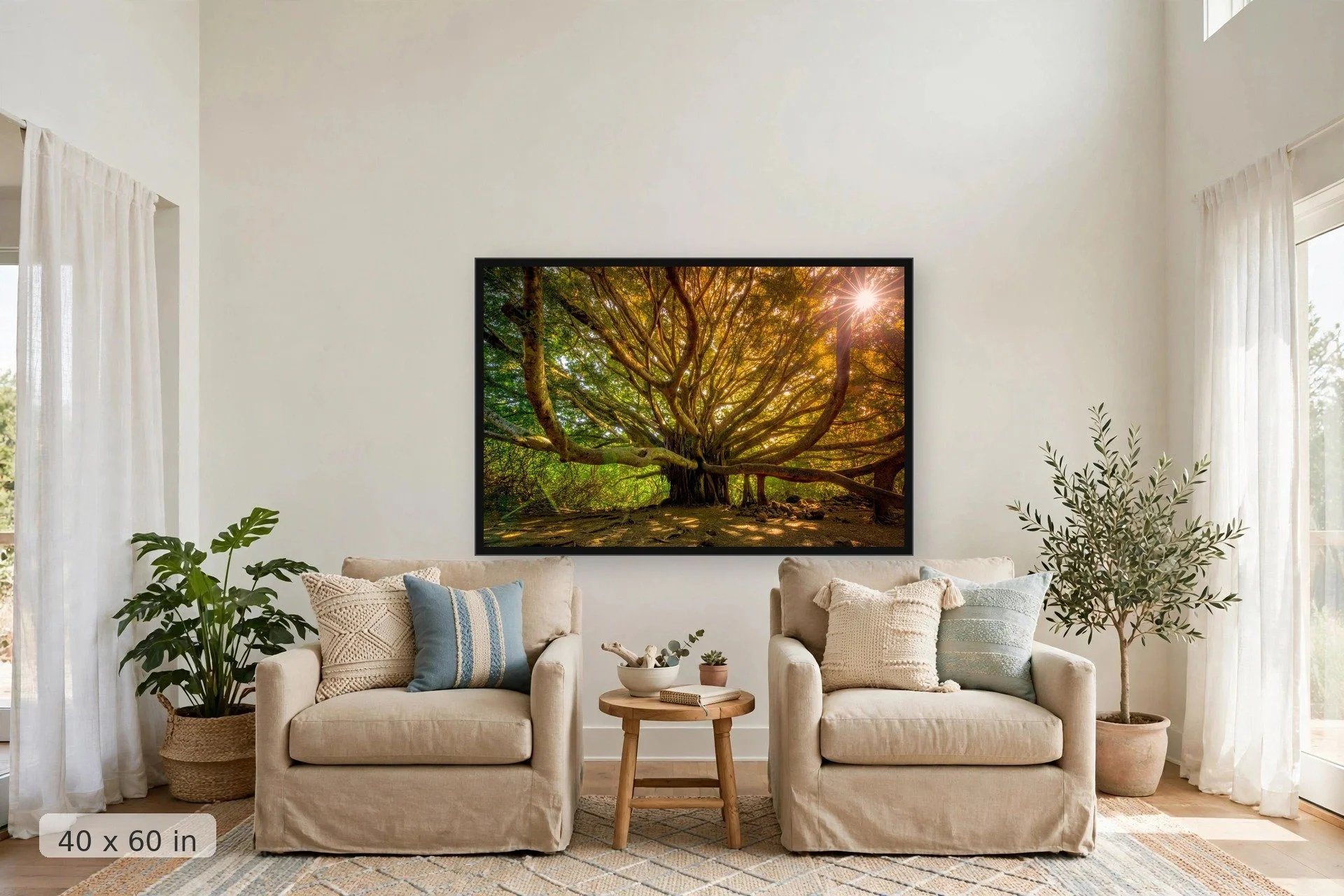 massive banyan tree at pipiwai in hawaii with sunset shining through branches — Pipiwai Banyan print, 40x60 large mockup in a living room