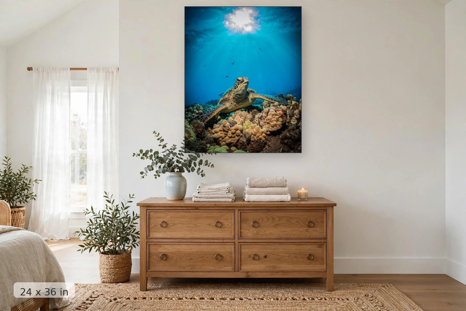 A Hawaiian Green Sea Turtle rests on boulder coral during mid afternoon — Afternoon Turtle print, 24x36 mockup above a dresser
