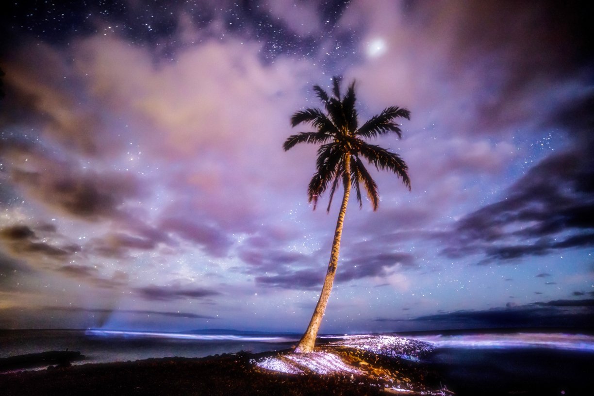 Olowalu-Palm-at-Night_astro-photography.jpg