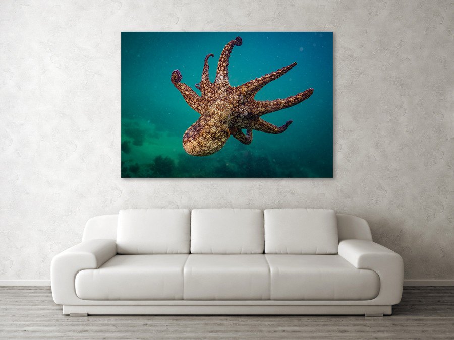 El-Pulpo_lifestyle_Couch.jpg