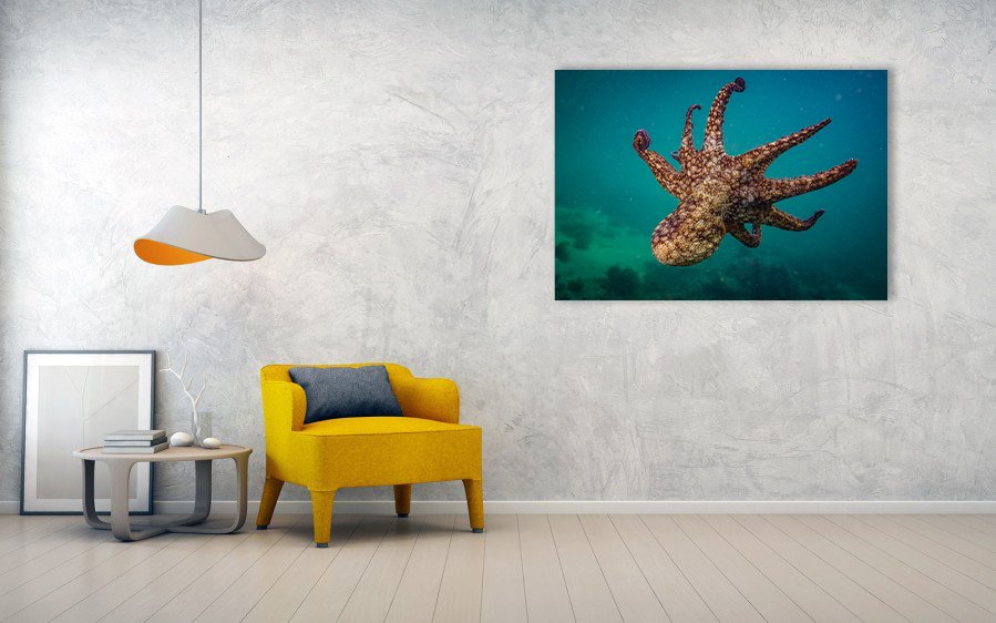 El-Pulpo_lifestyle_living-room-wall.jpg