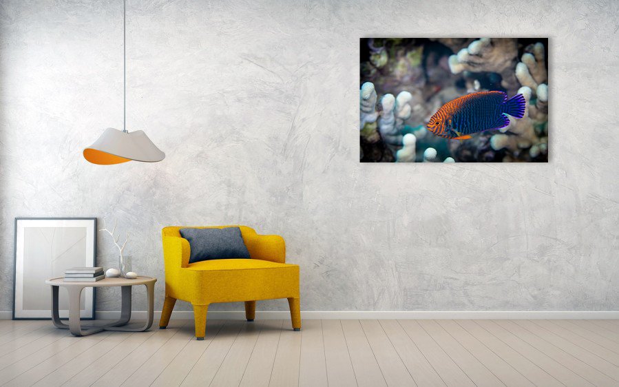Potter-Angelfish_lifestyle_living-room-wall.jpg