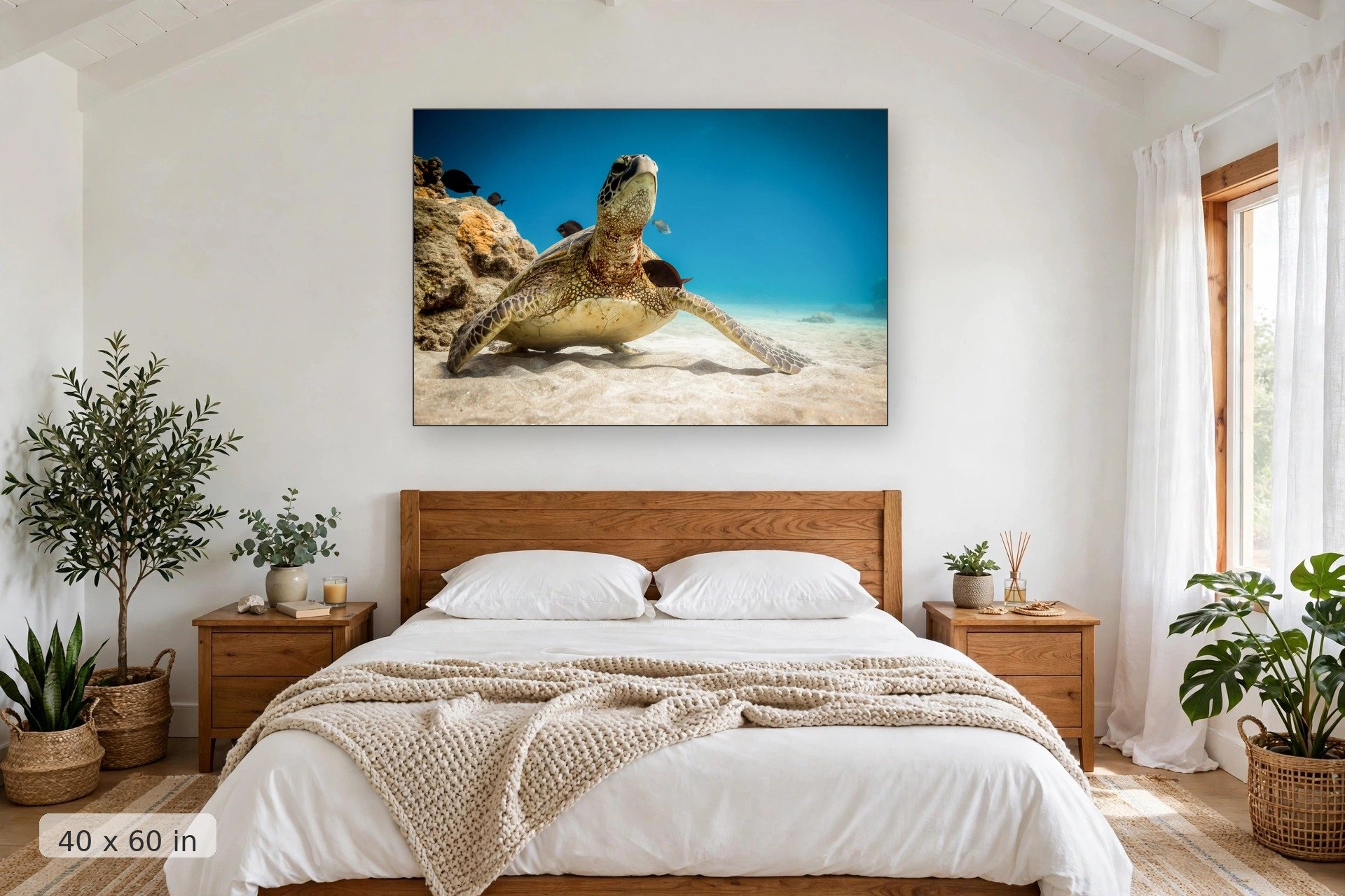 surgeon fish clean a sea turtle in an underwater cleaning station — Honu Cleanse print, 40x60 mockup above a bedroom headboard