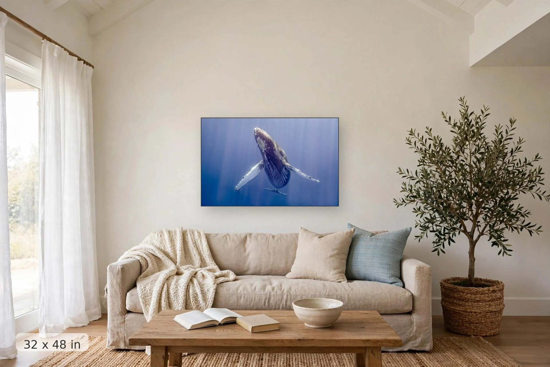 kohola-32x48-couch-final.jpg