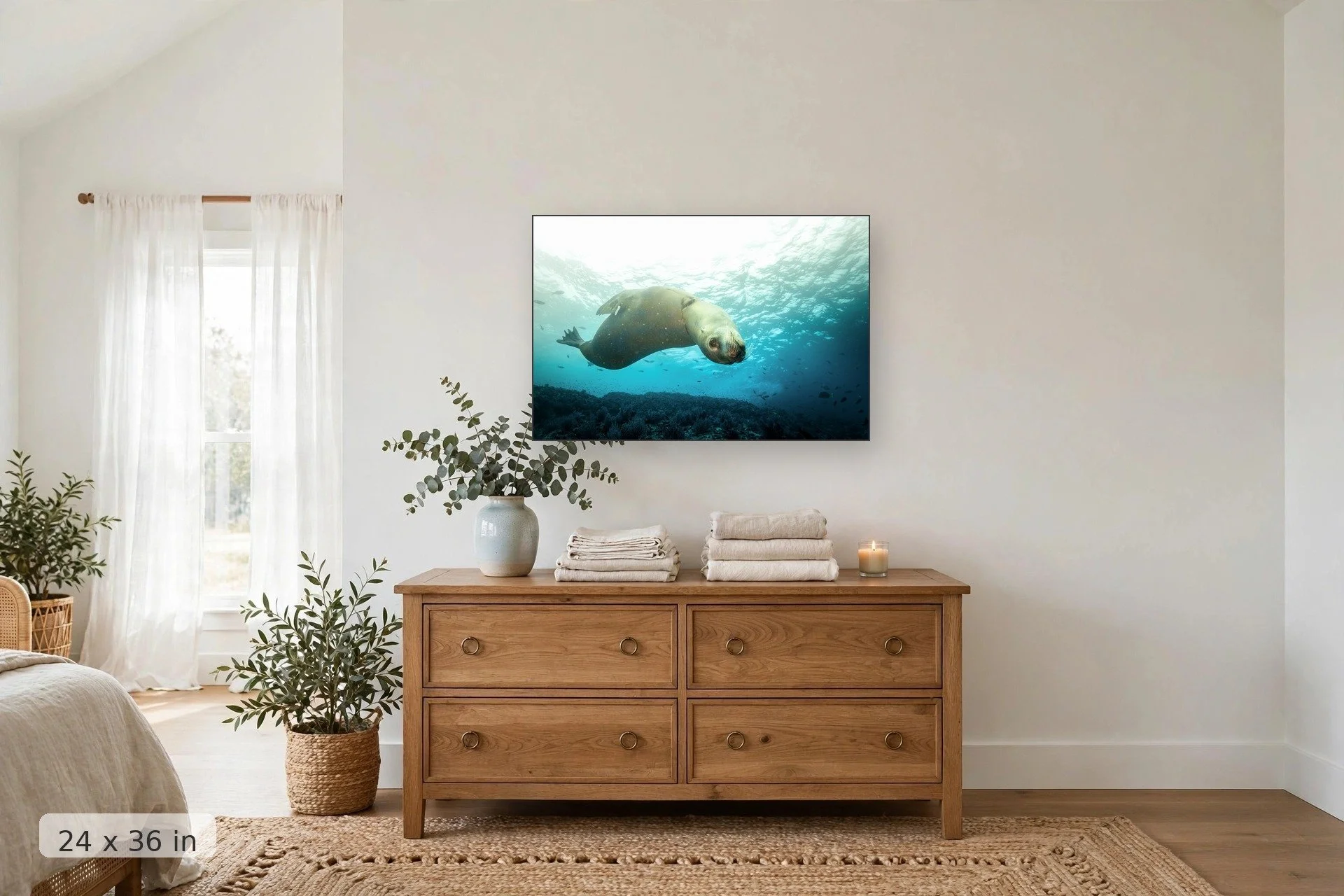 Curious sea lion portrait — Curious Sea Lion print, 24x36 mockup above a dresser