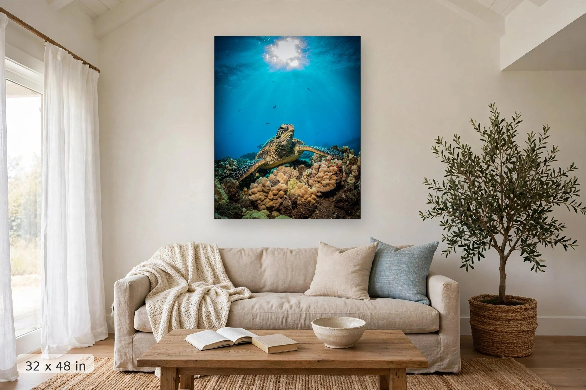 A Hawaiian Green Sea Turtle rests on boulder coral during mid afternoon — Afternoon Turtle print, 32x48 mockup above a living room sofa